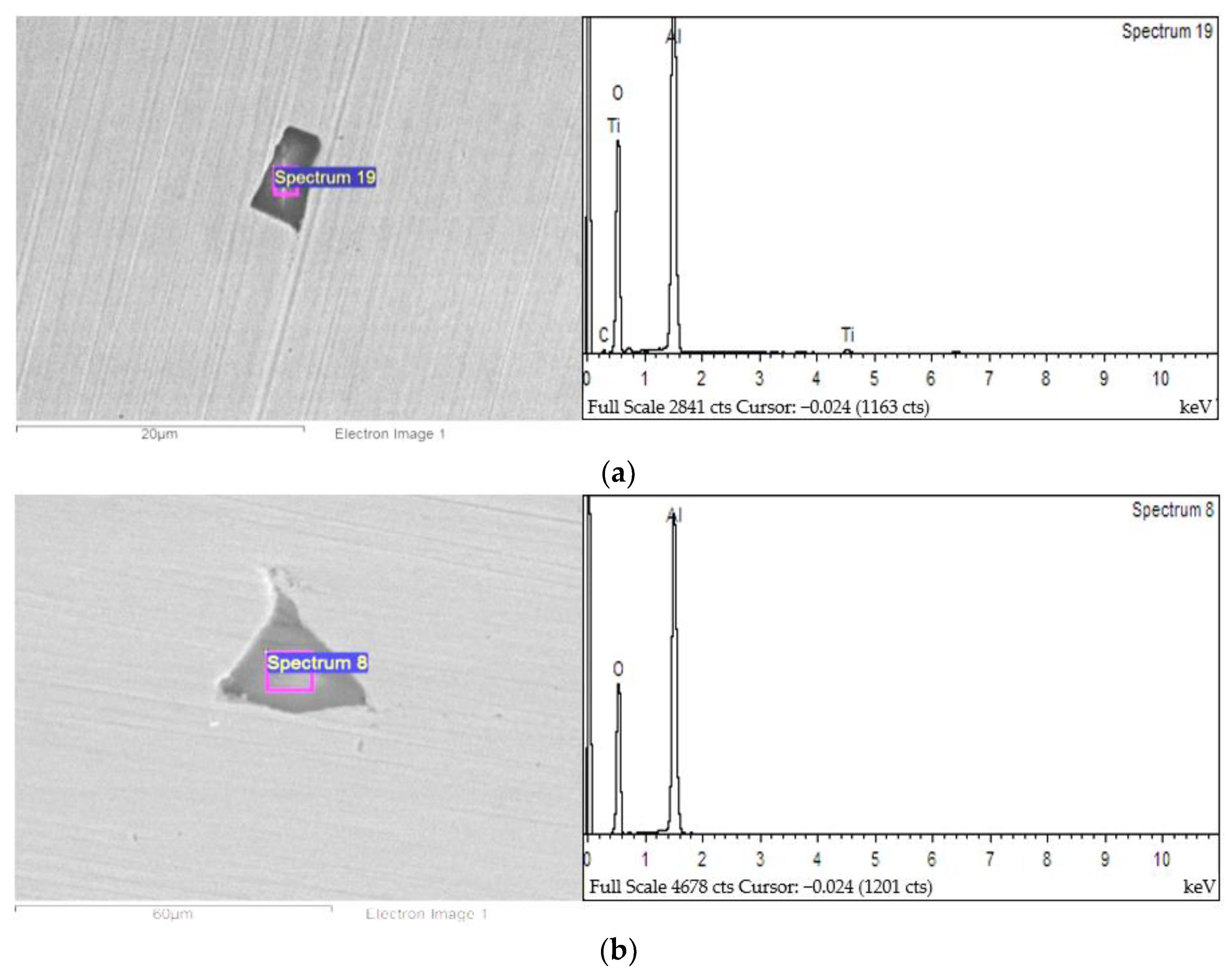 Coatings 13 02009 g008a