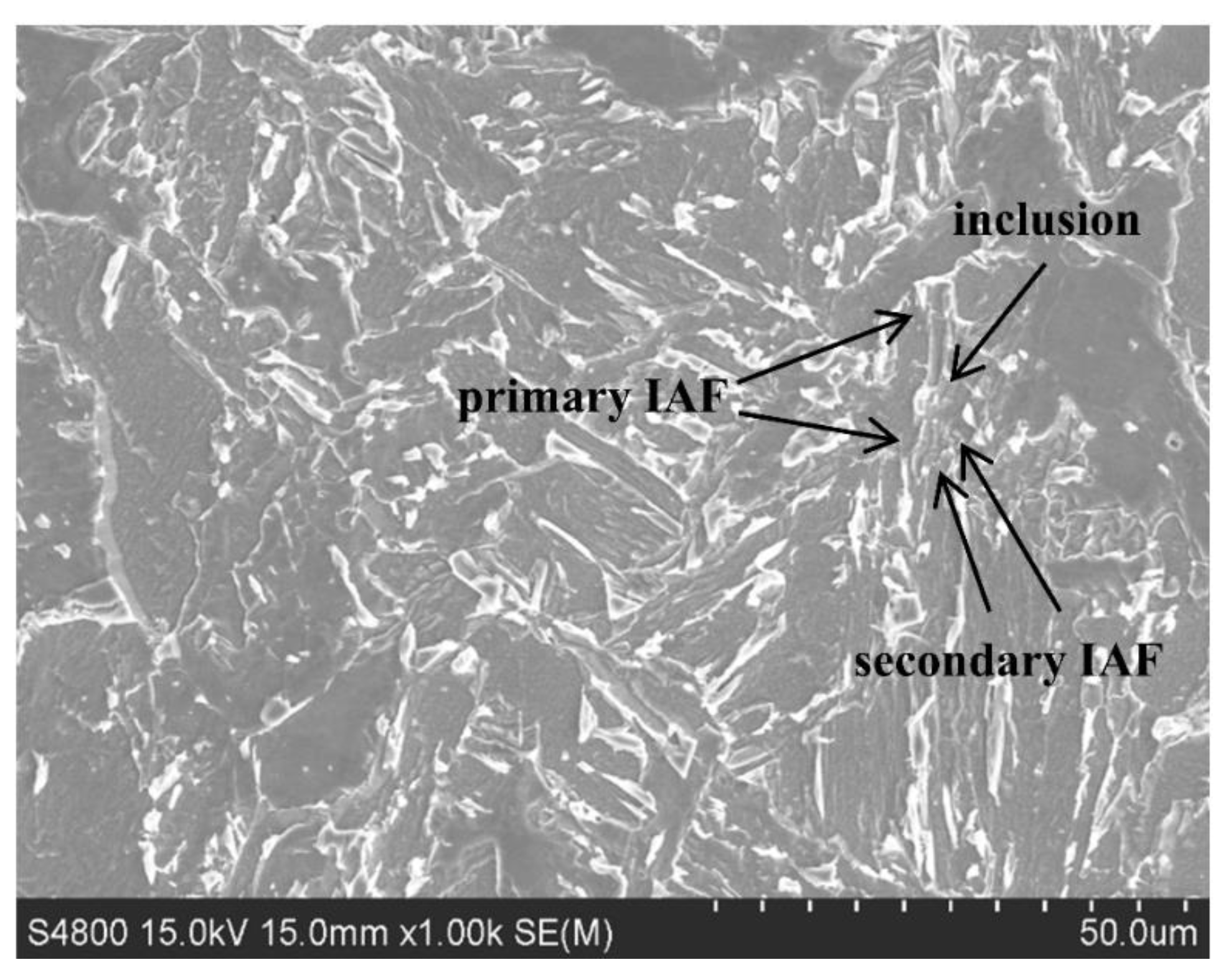 Coatings 13 02009 g010