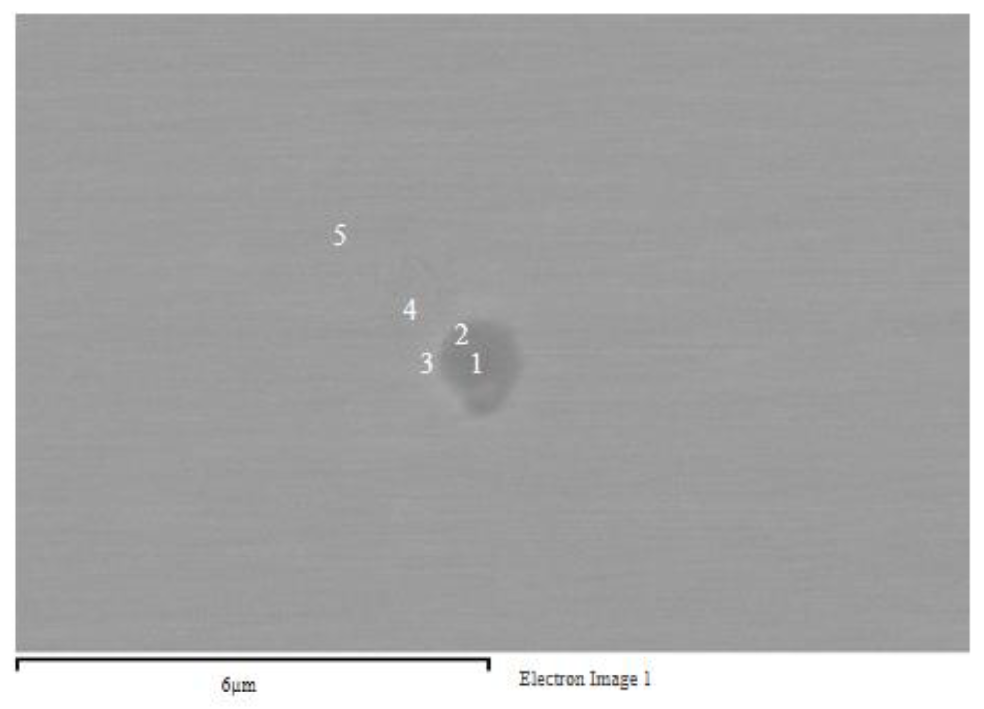 Coatings 13 02009 g011