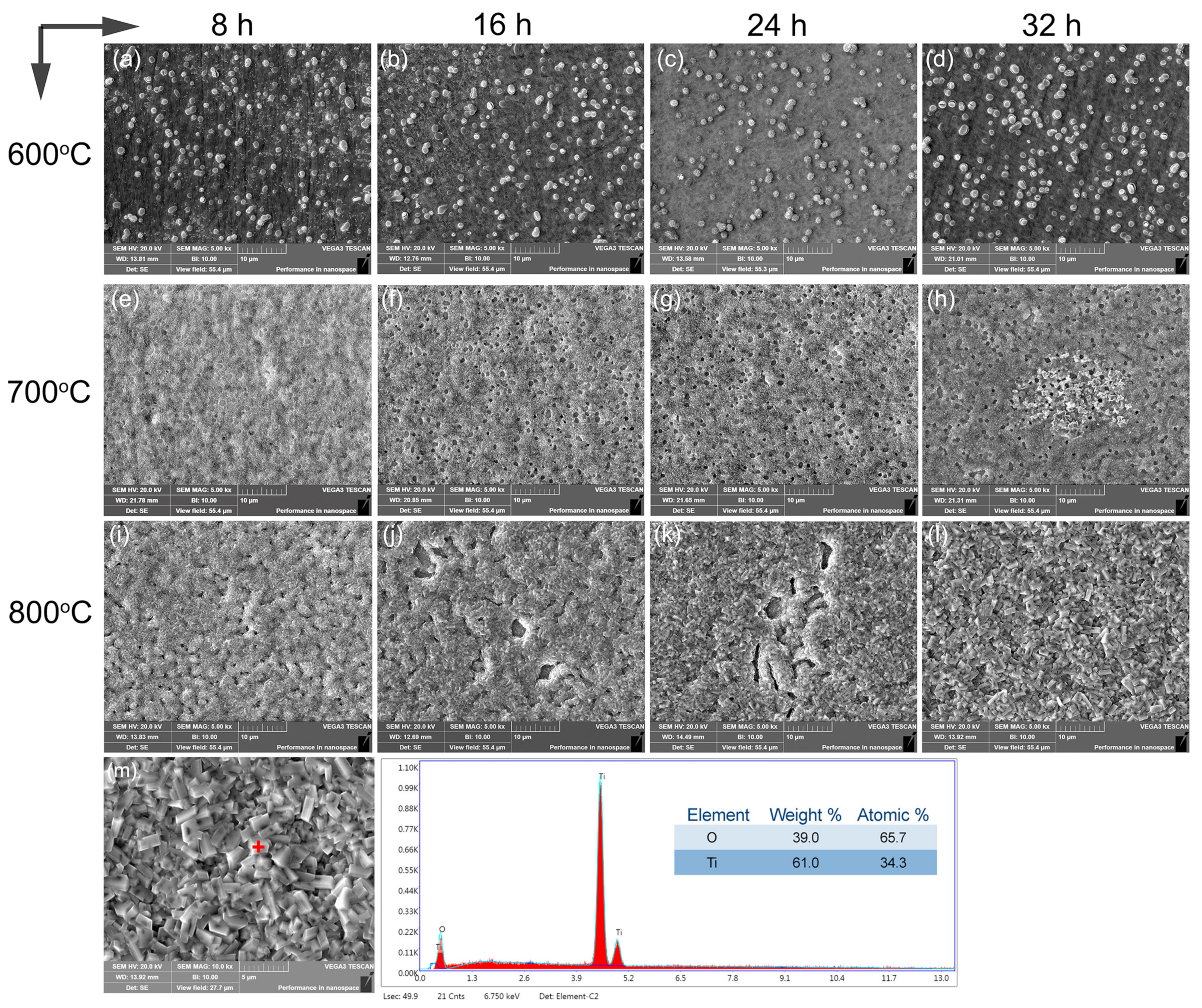 Coatings 13 02020 g005
