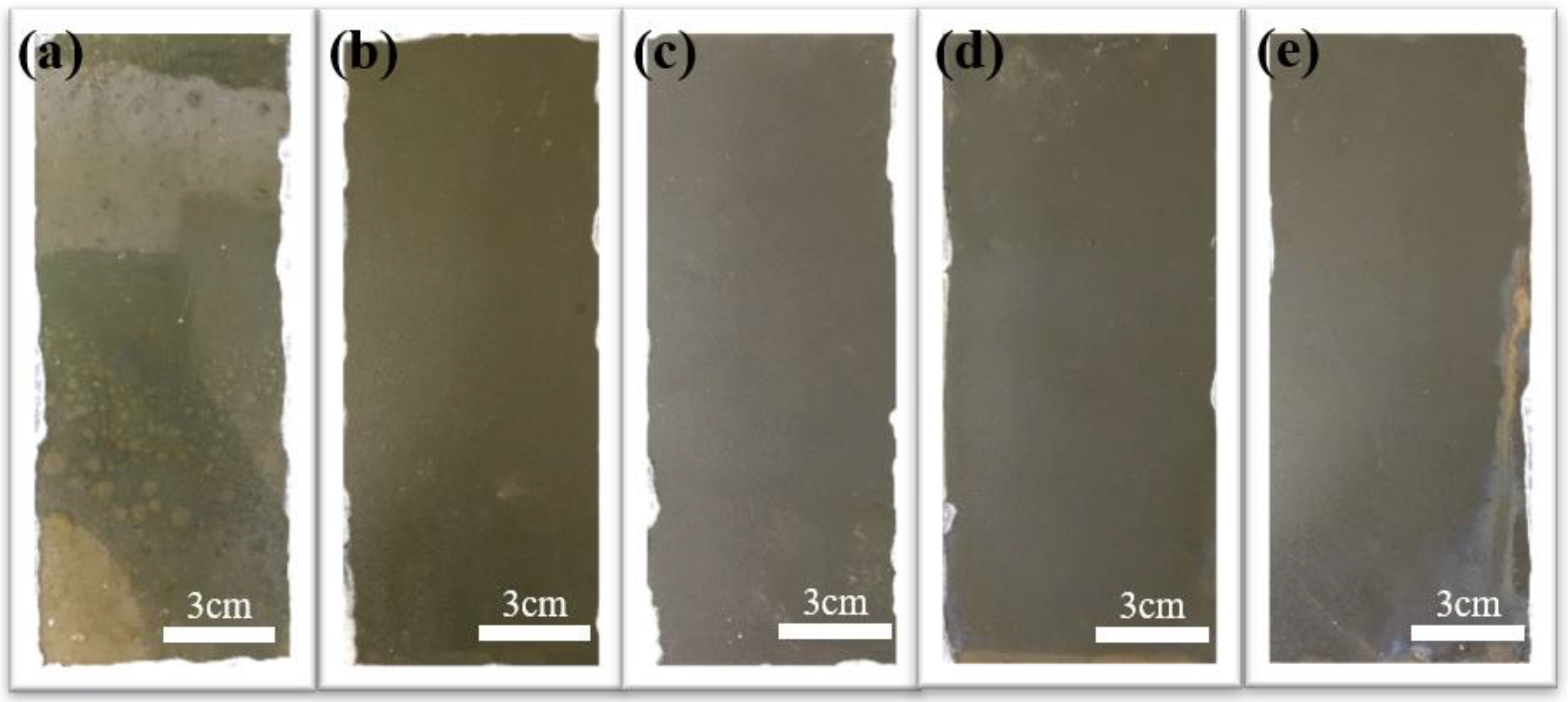 Coatings 13 02022 g004