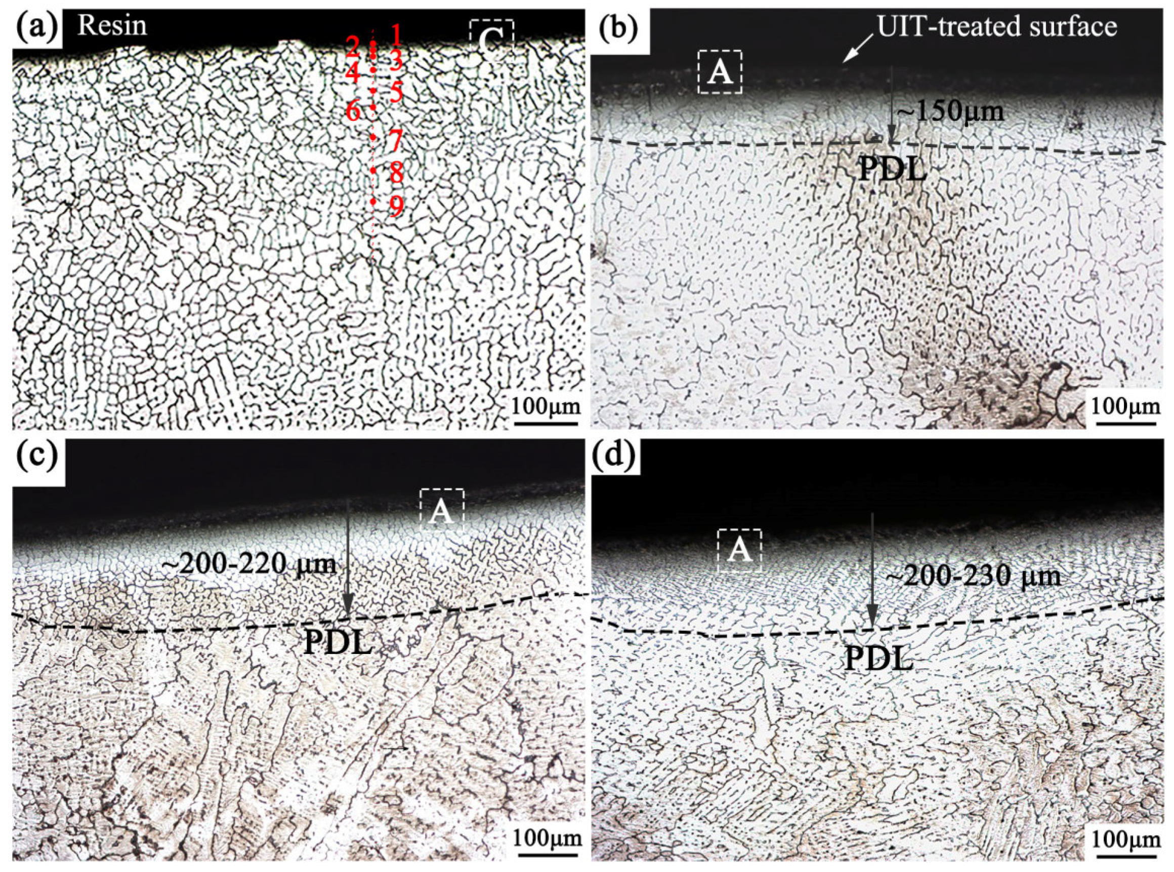 Coatings 13 02024 g005