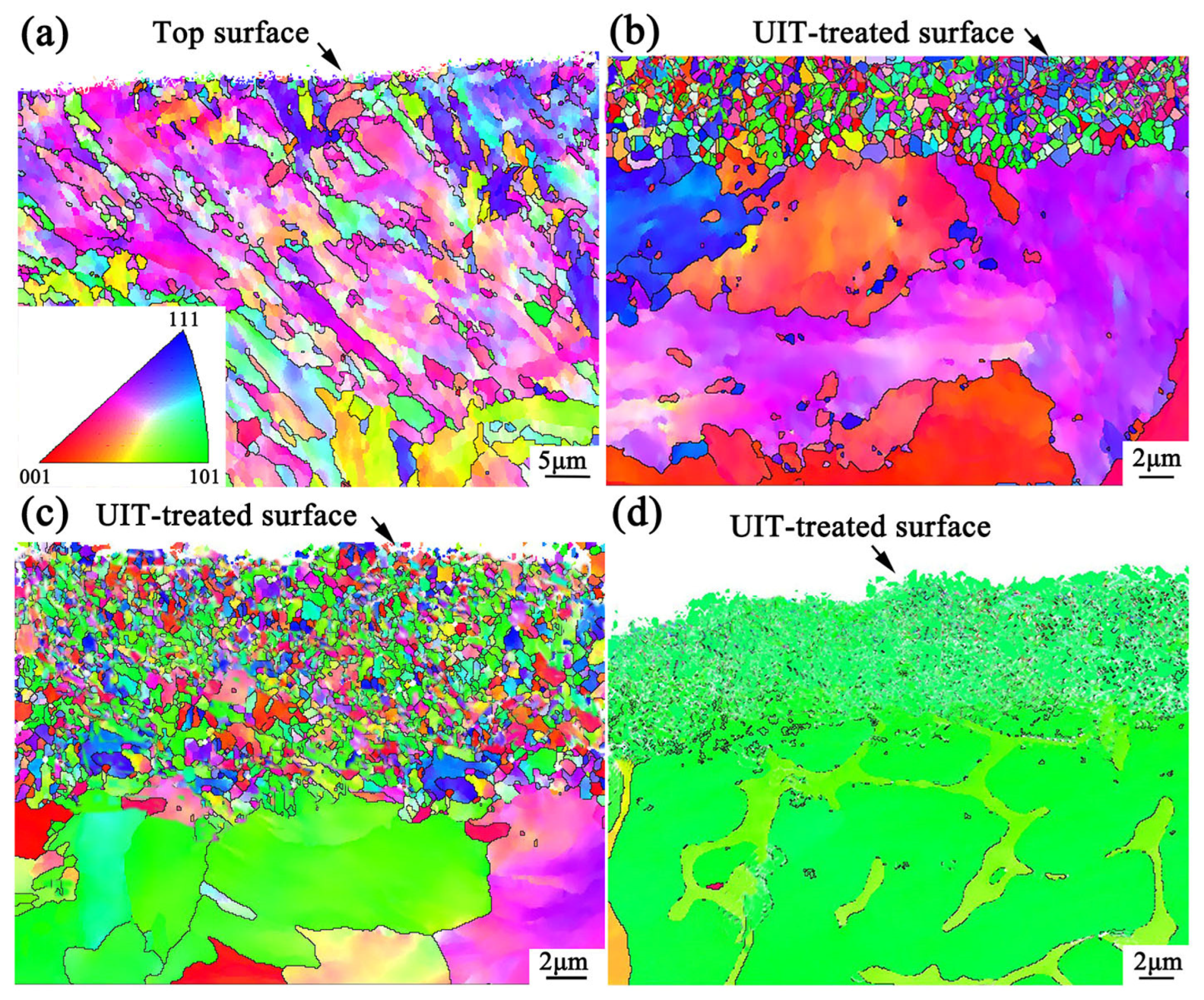 Coatings 13 02024 g007