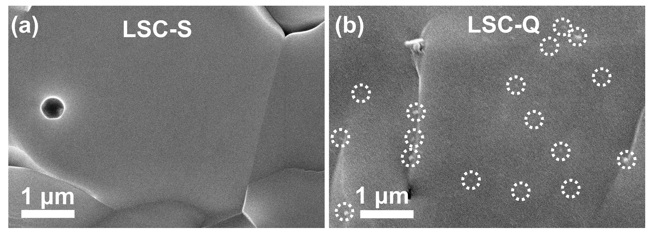 Coatings 13 02032 g002