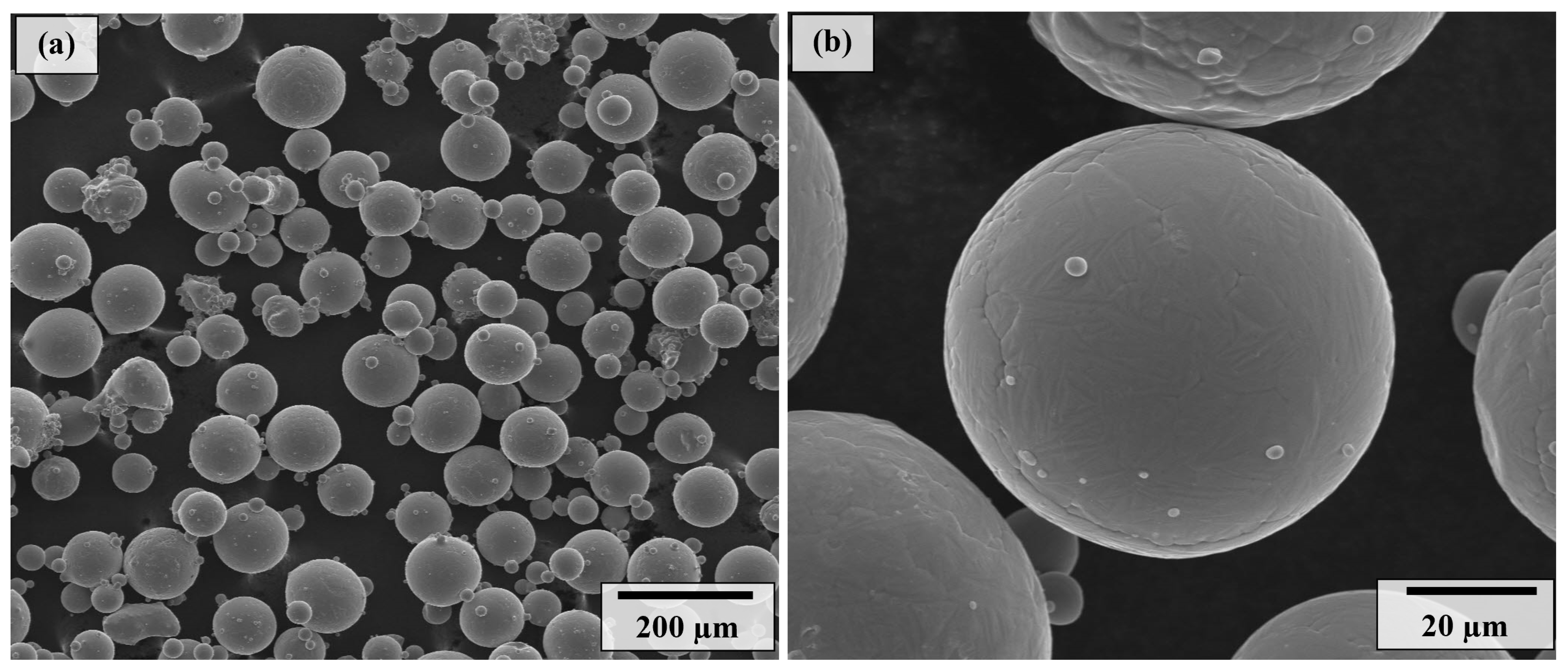 Coatings 13 02036 g002