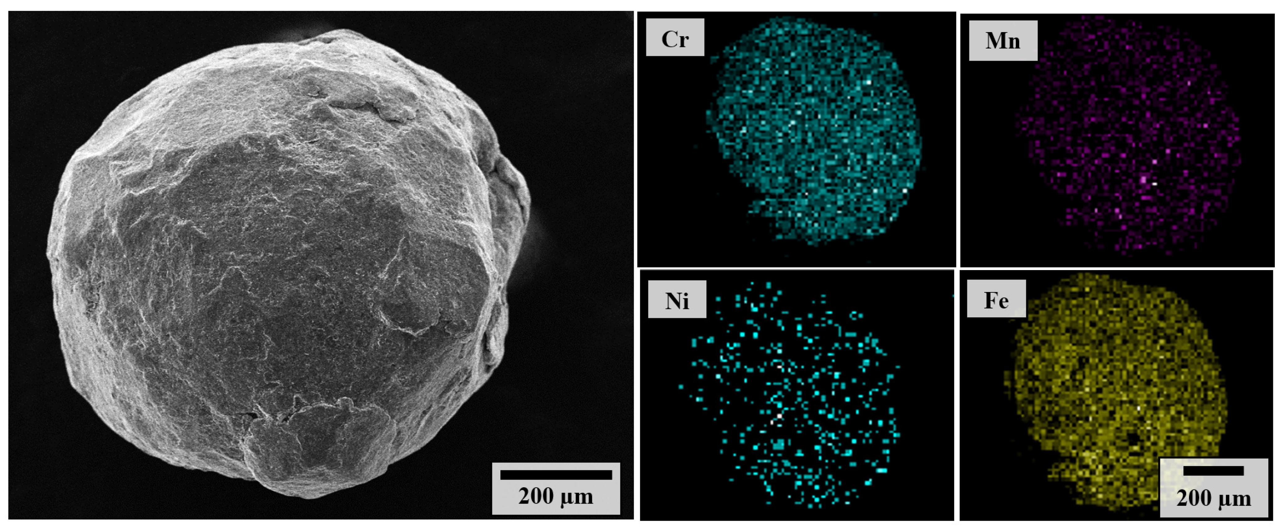 Coatings 13 02036 g003