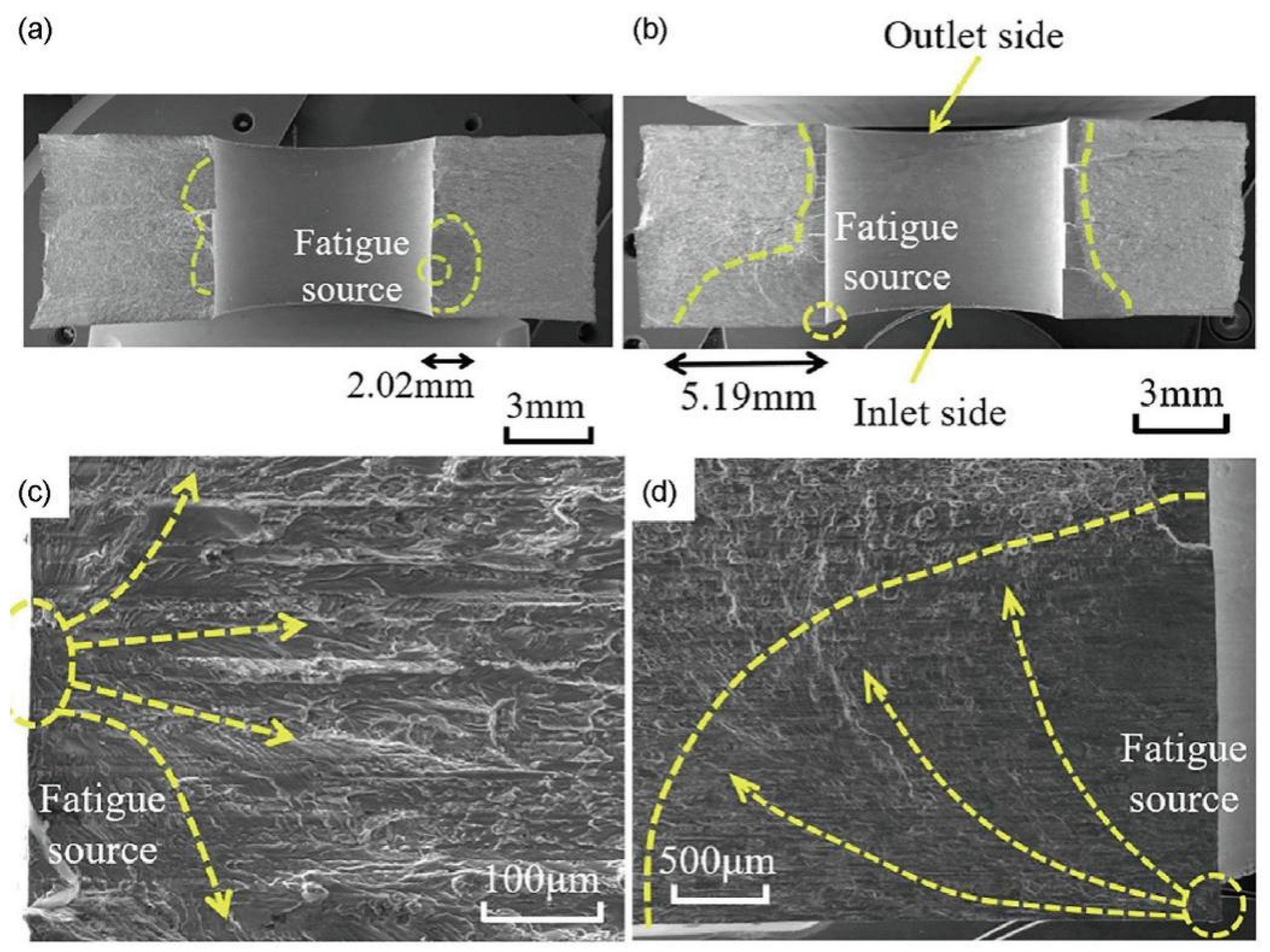 Coatings 13 02037 g011