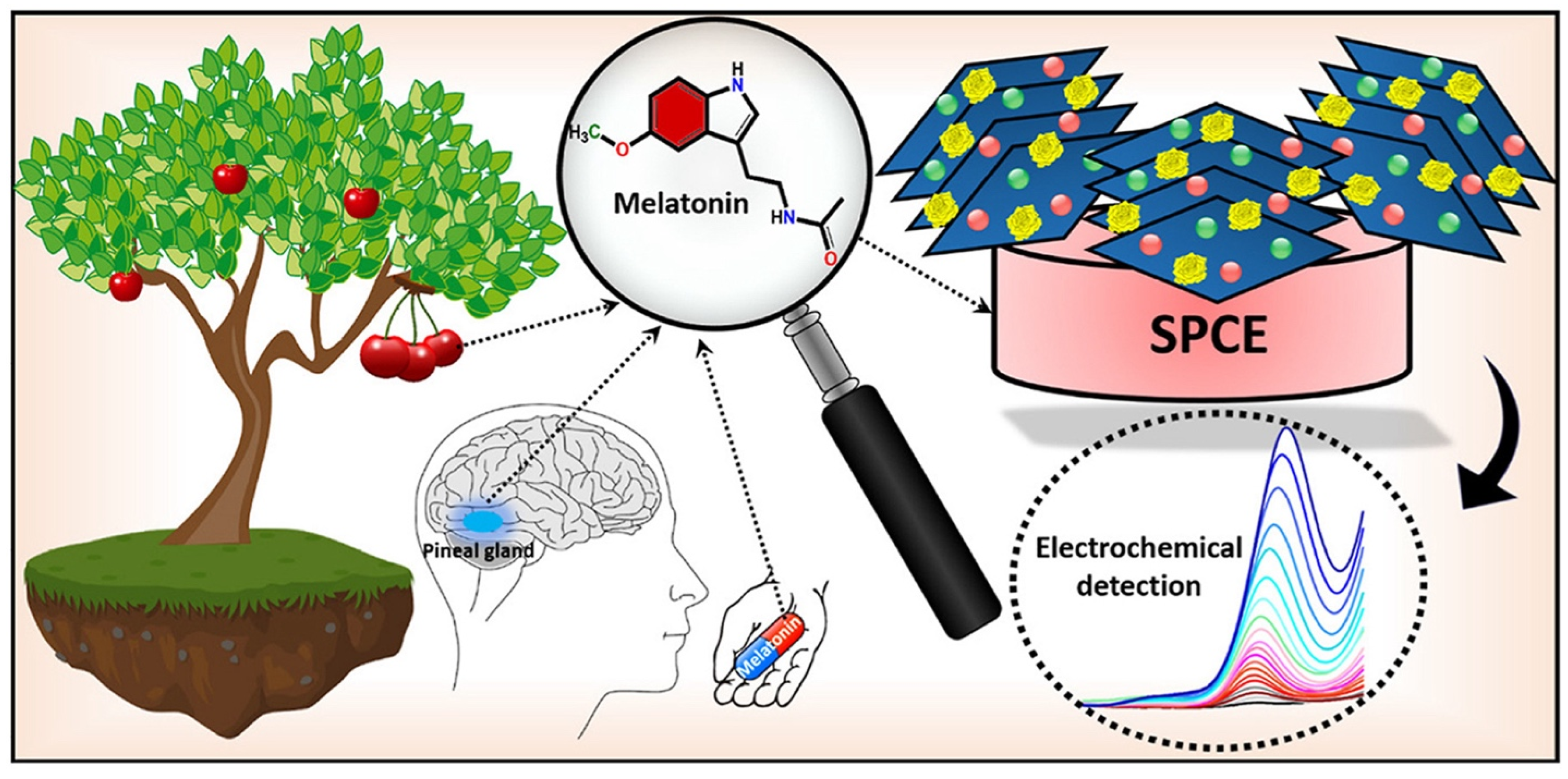 Coatings 13 02040 g012