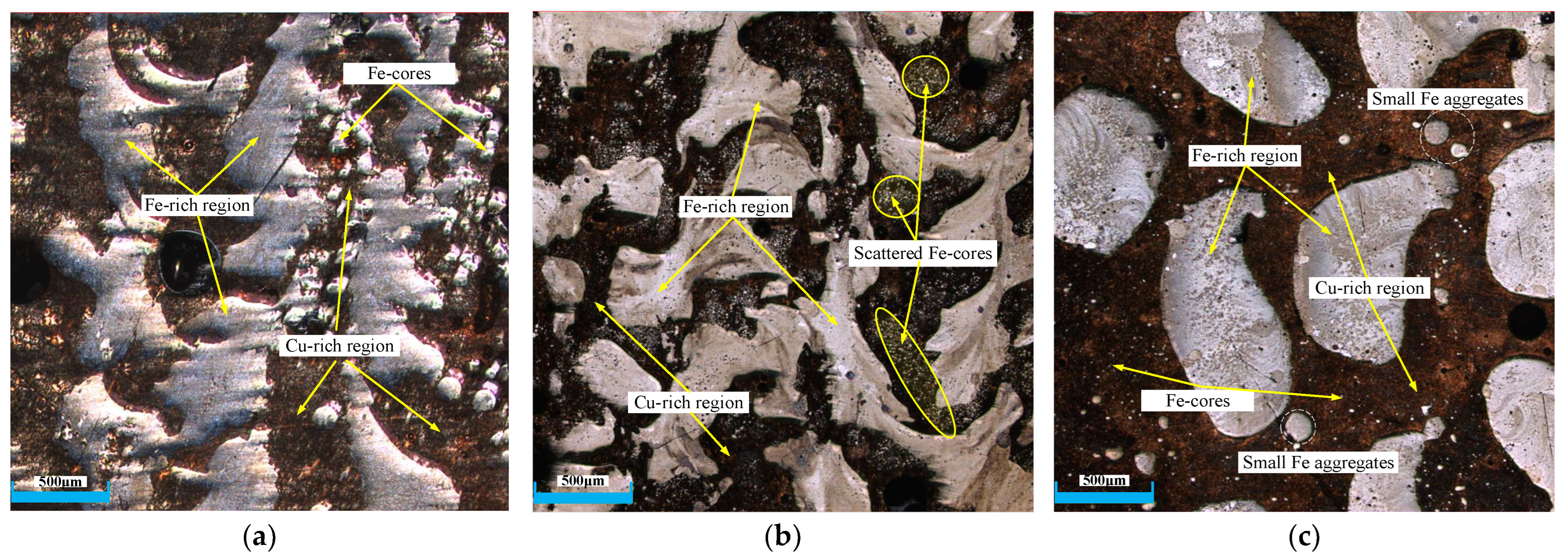 Coatings 13 02041 g002