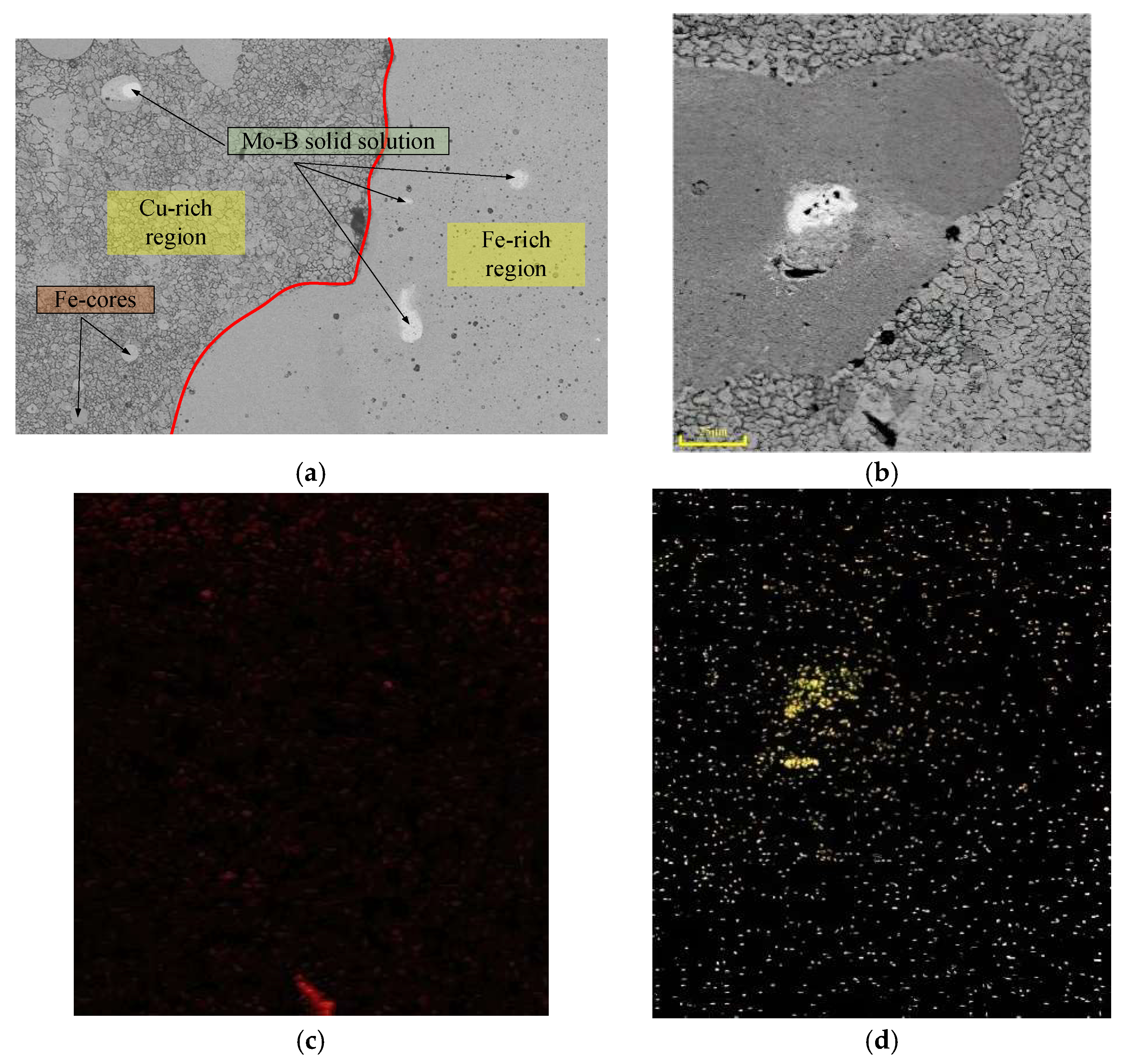 Coatings 13 02041 g006a