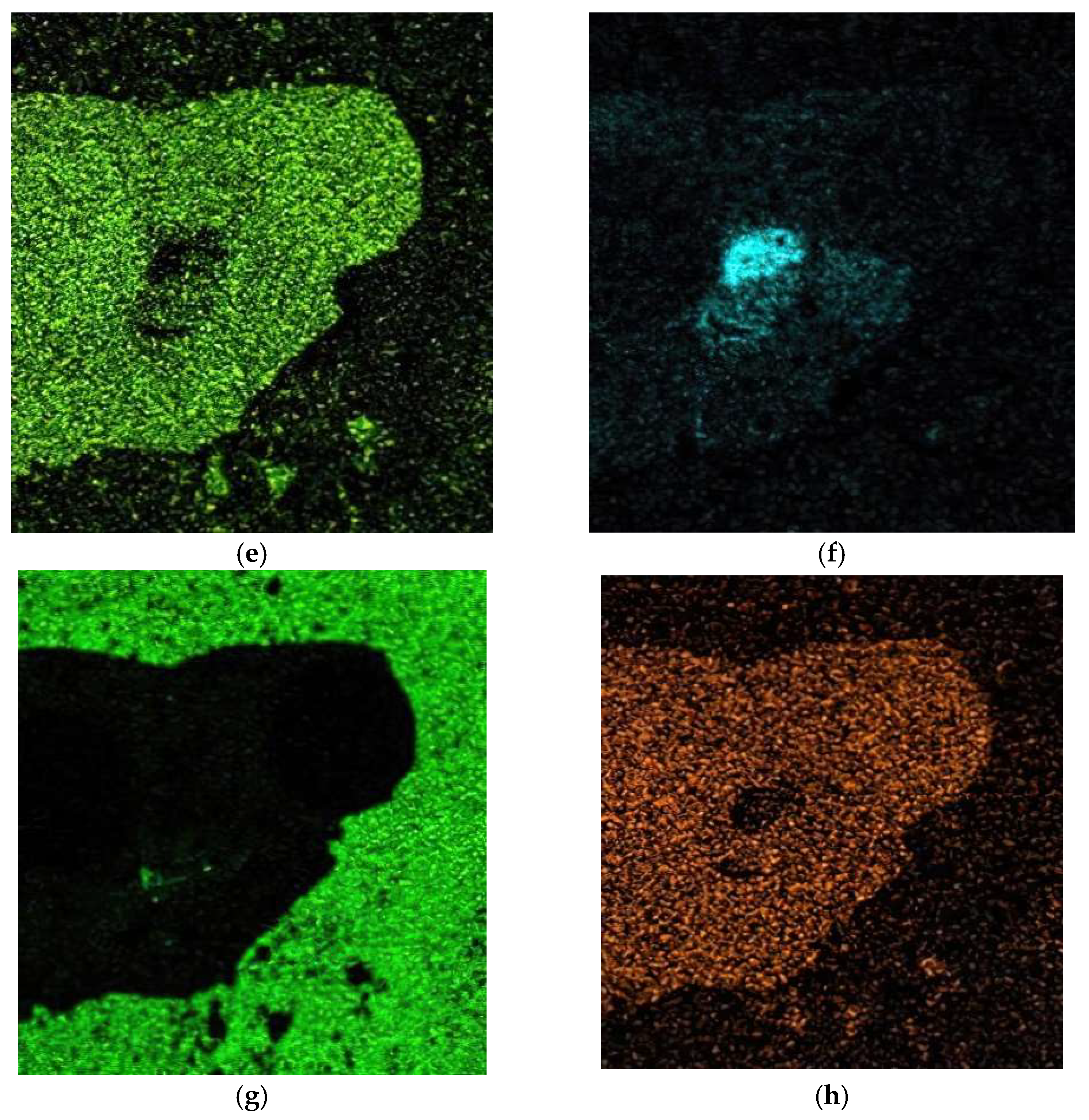 Coatings 13 02041 g006b