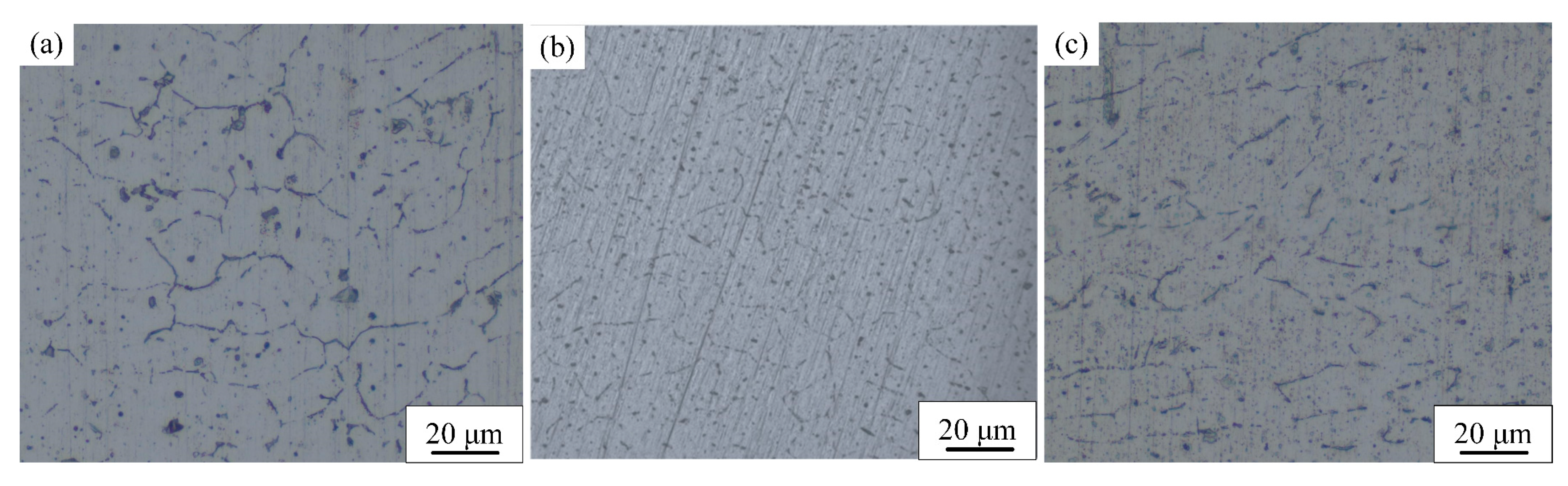 Coatings 13 02049 g008