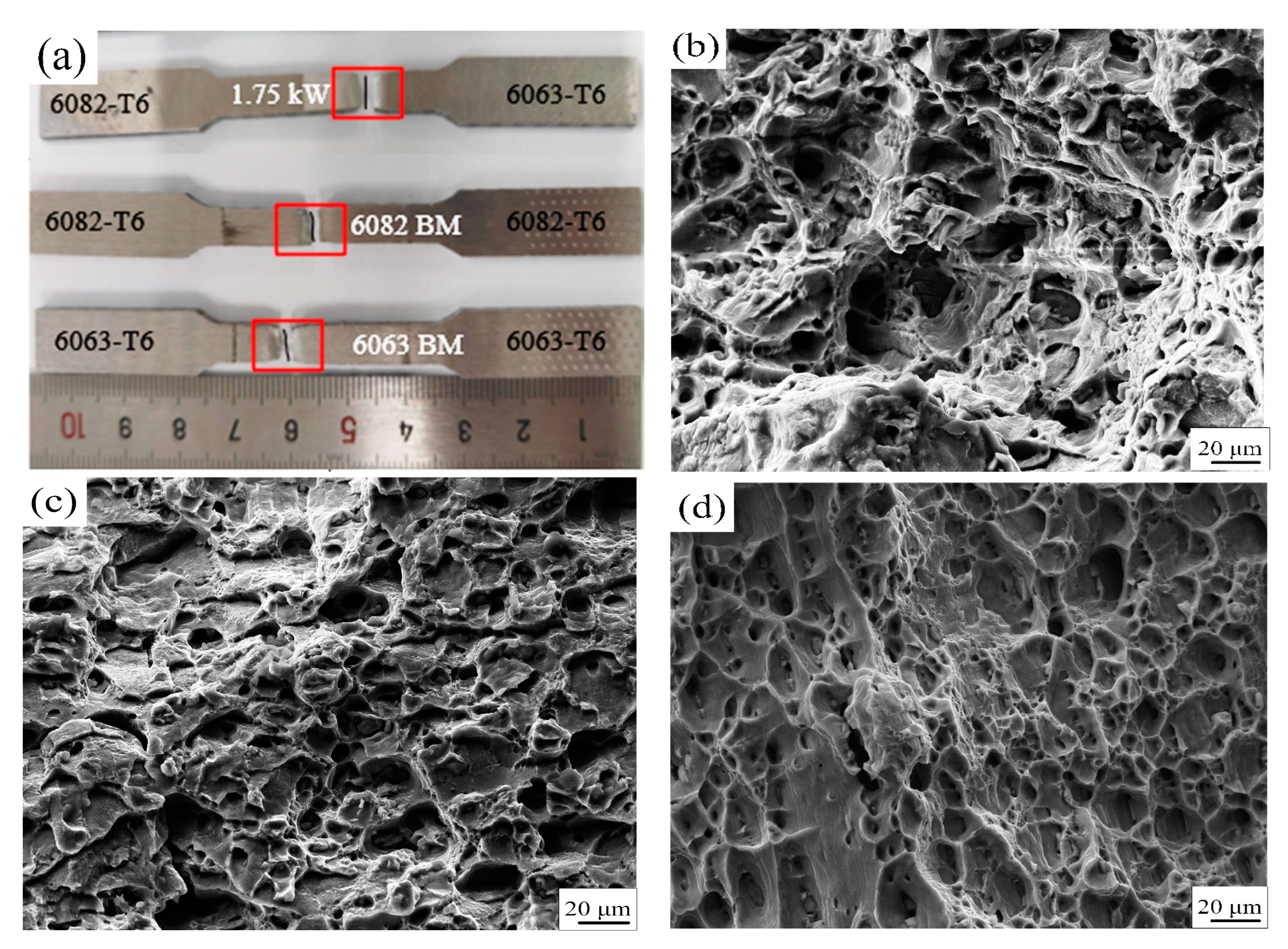 Coatings 13 02049 g013