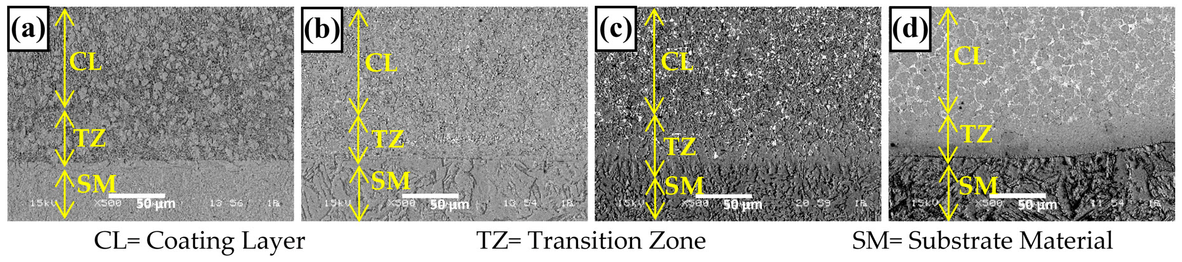 Coatings 13 02050 g002
