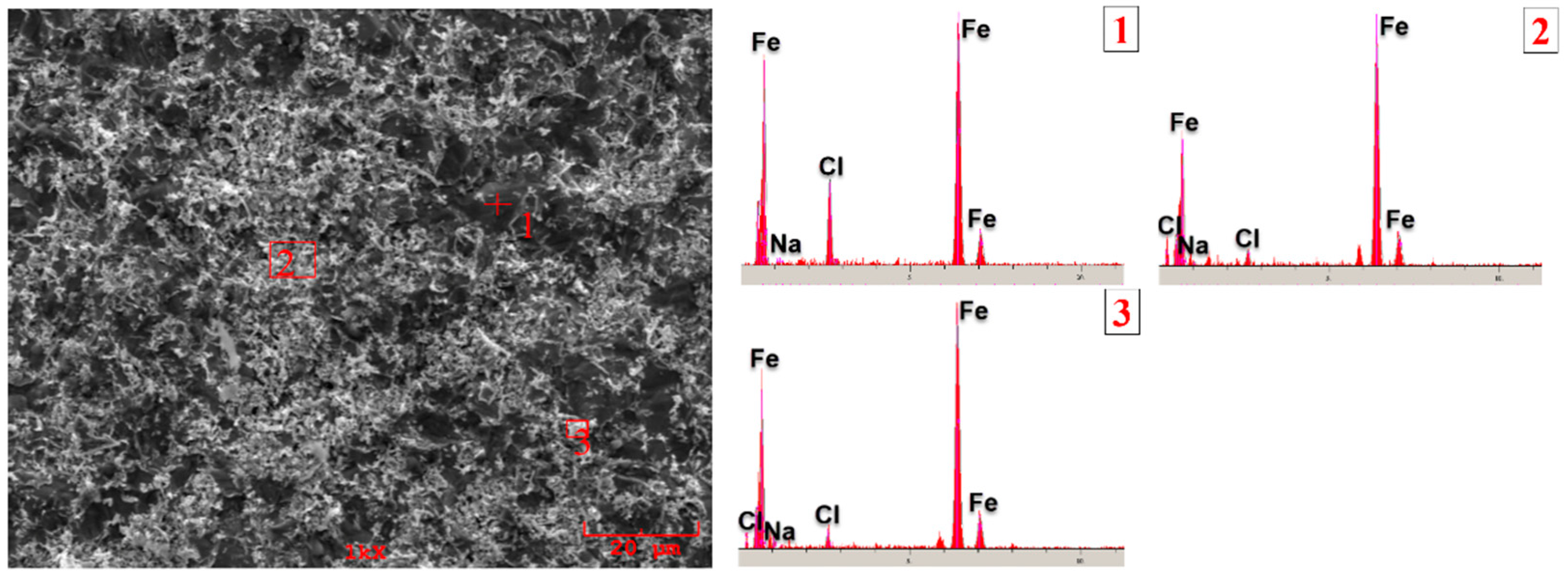 Coatings 13 02050 g012