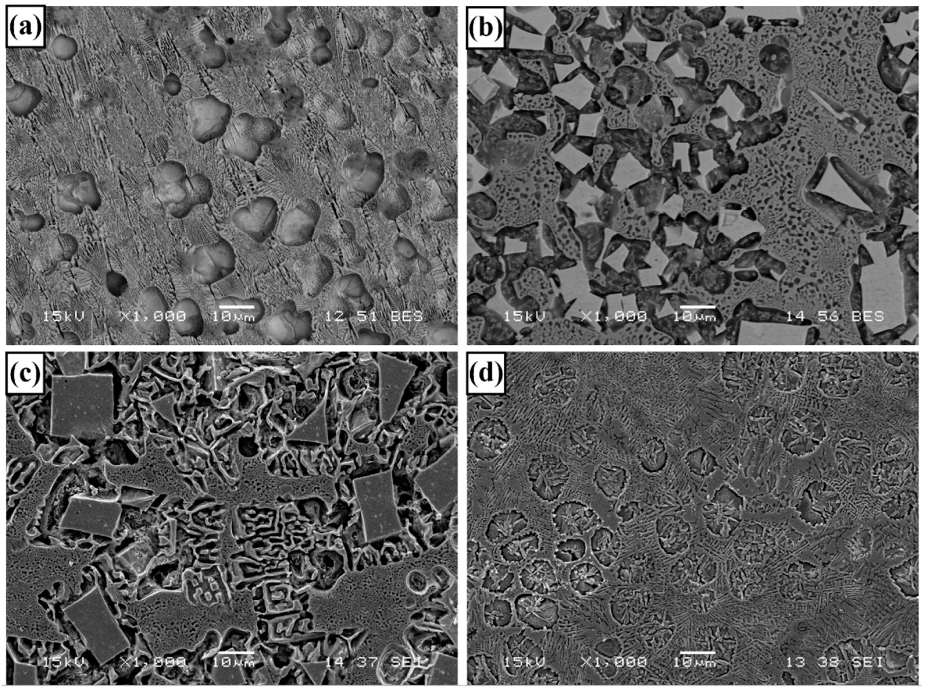 Coatings 13 02050 g013
