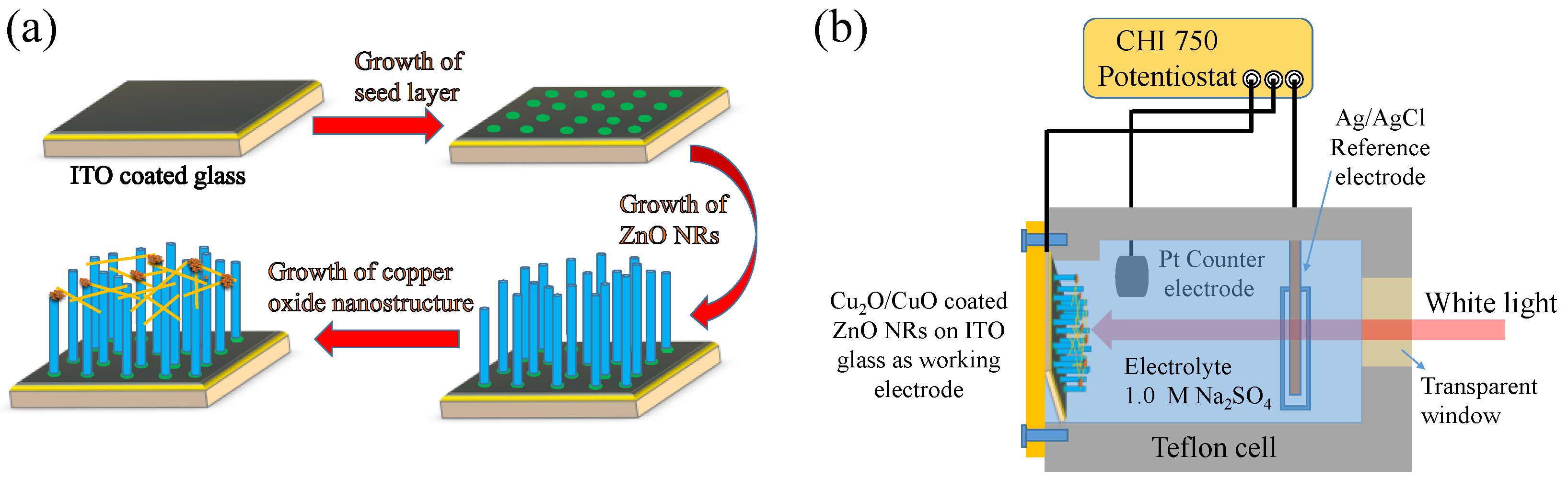Coatings 13 02051 g001
