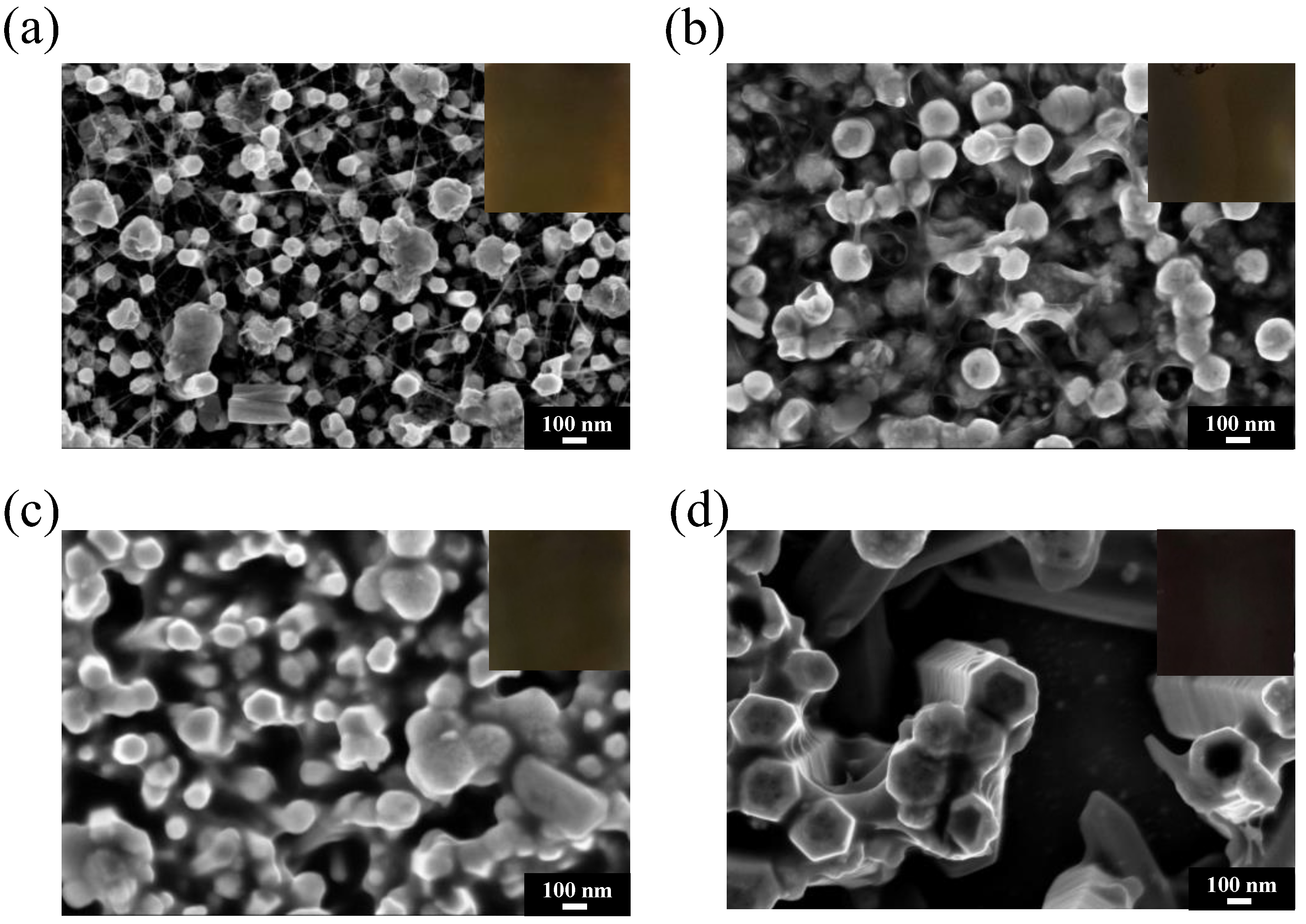 Coatings 13 02051 g004