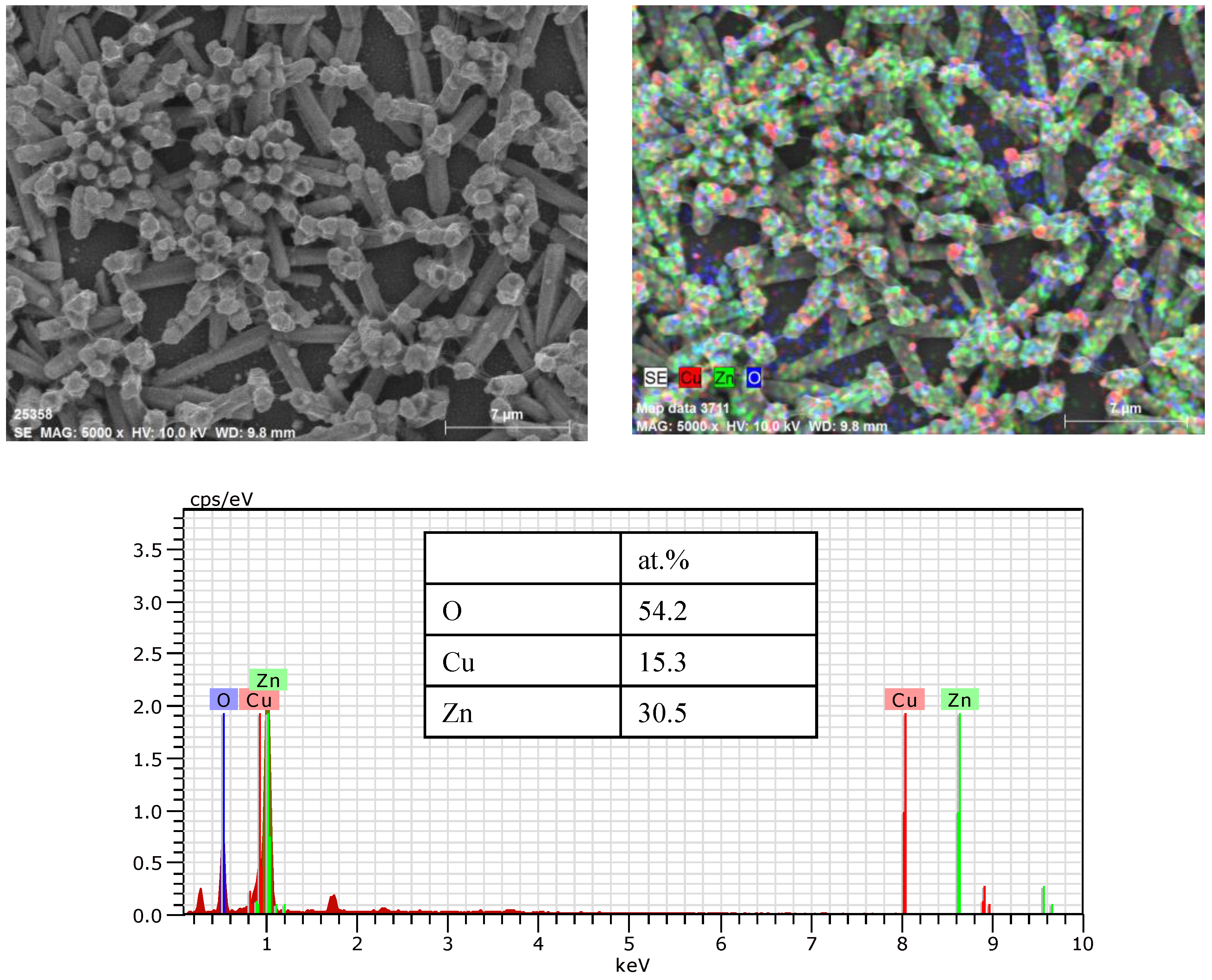 Coatings 13 02051 g005