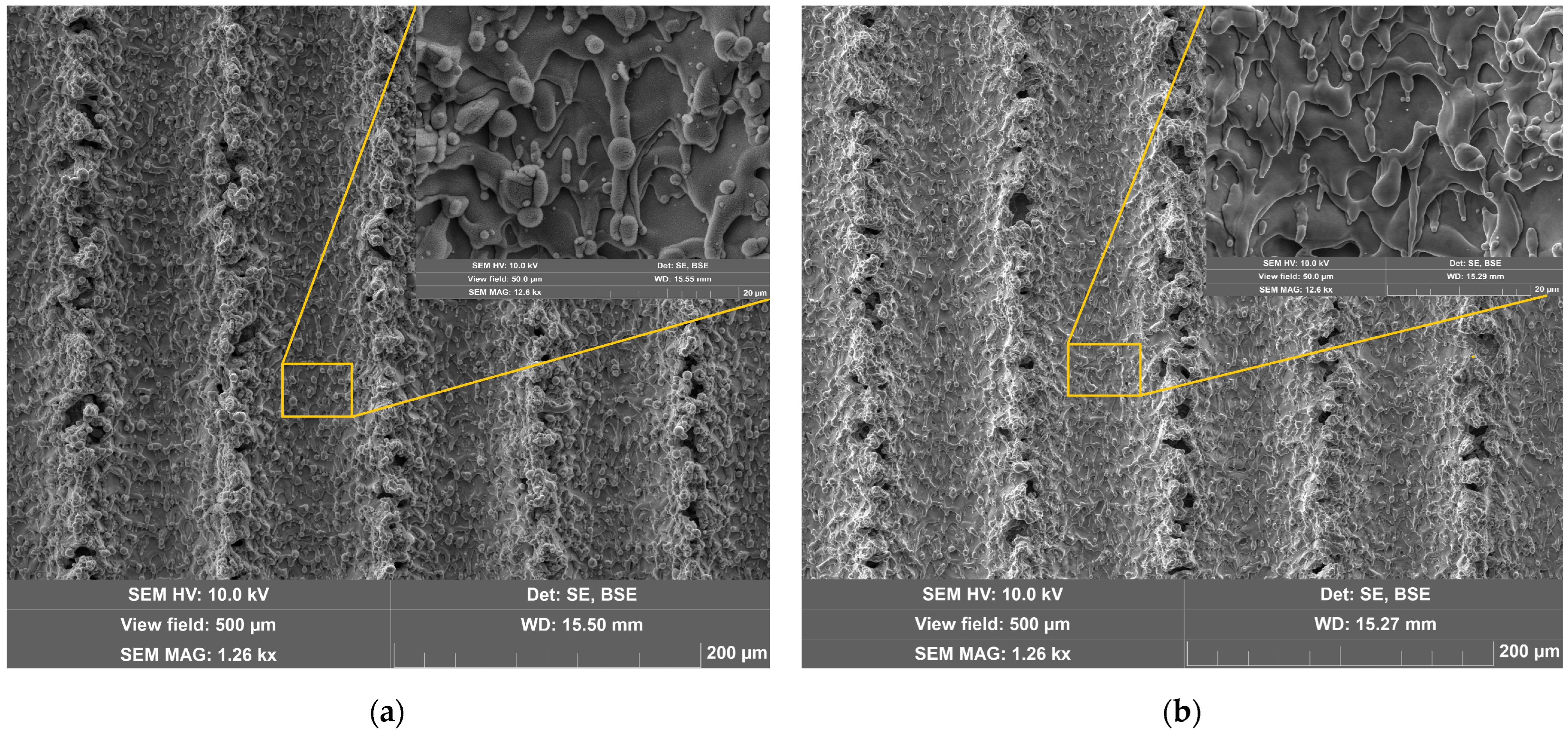 Coatings 13 02058 g002