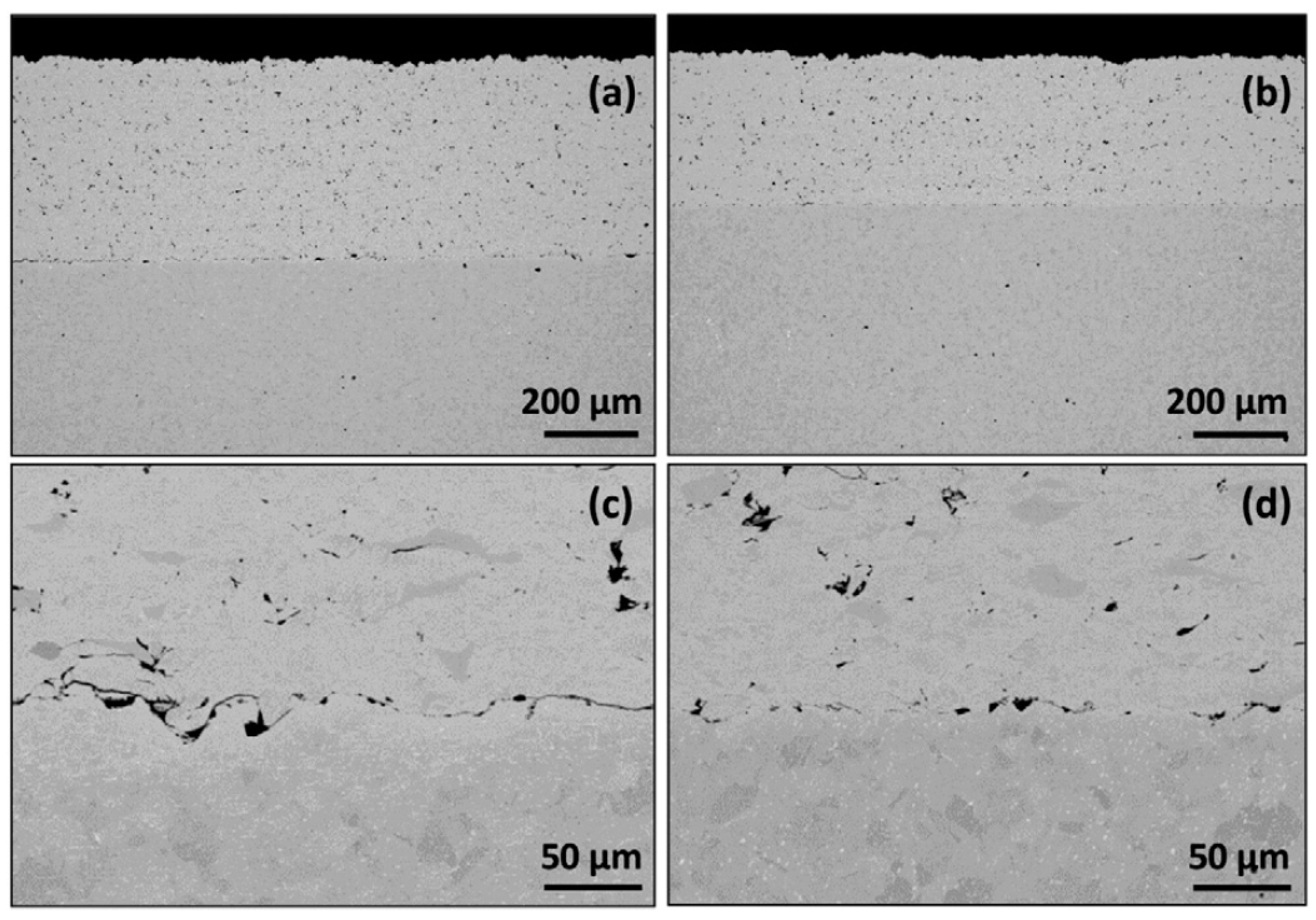 Coatings 13 02059 g007