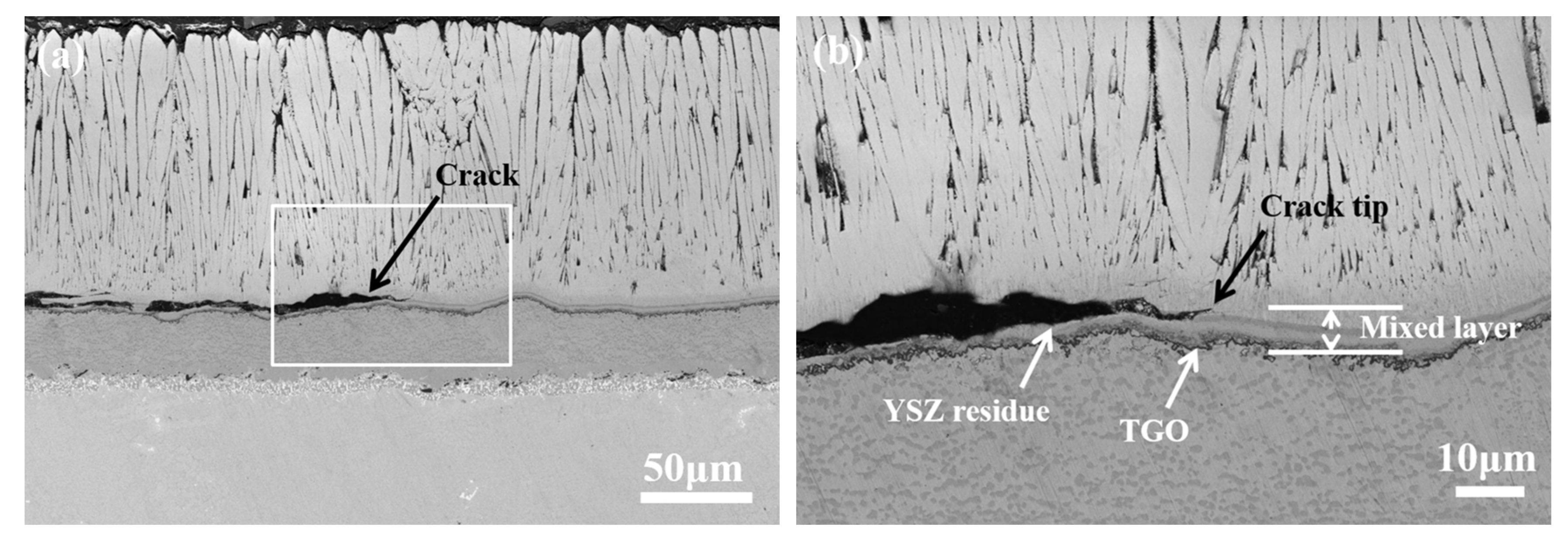 Coatings 13 02062 g006a Coatings 13 02062 g006a