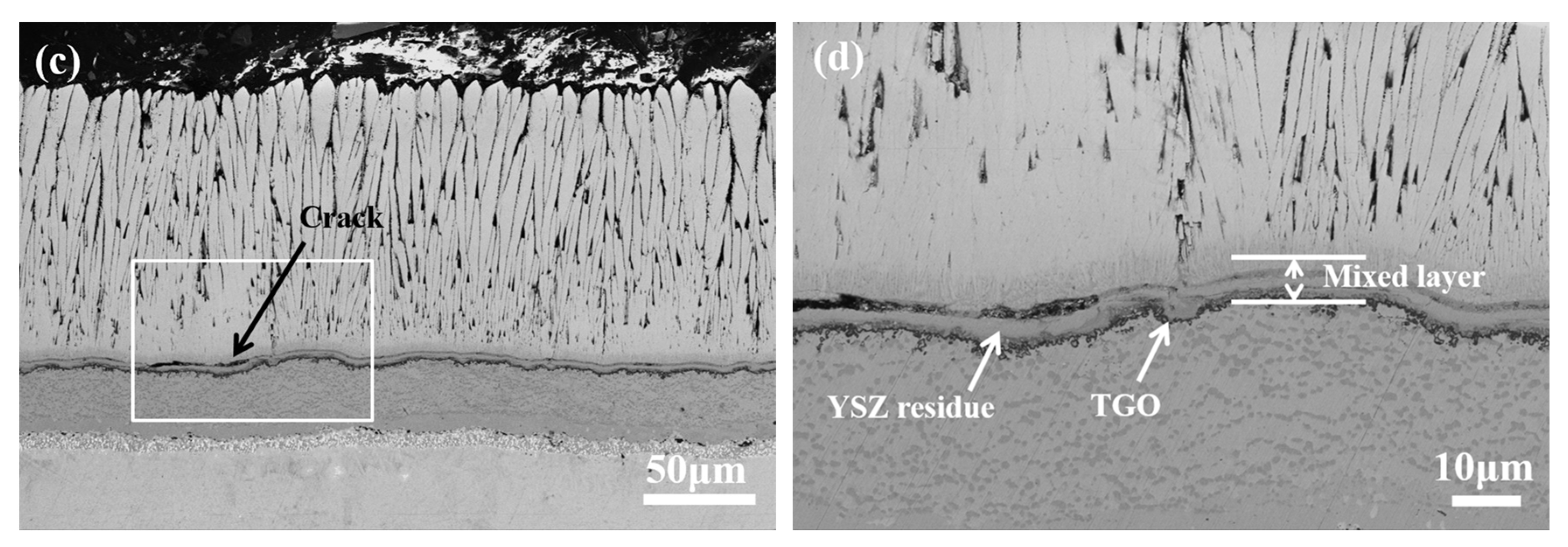 Coatings 13 02062 g006b Coatings 13 02062 g006b