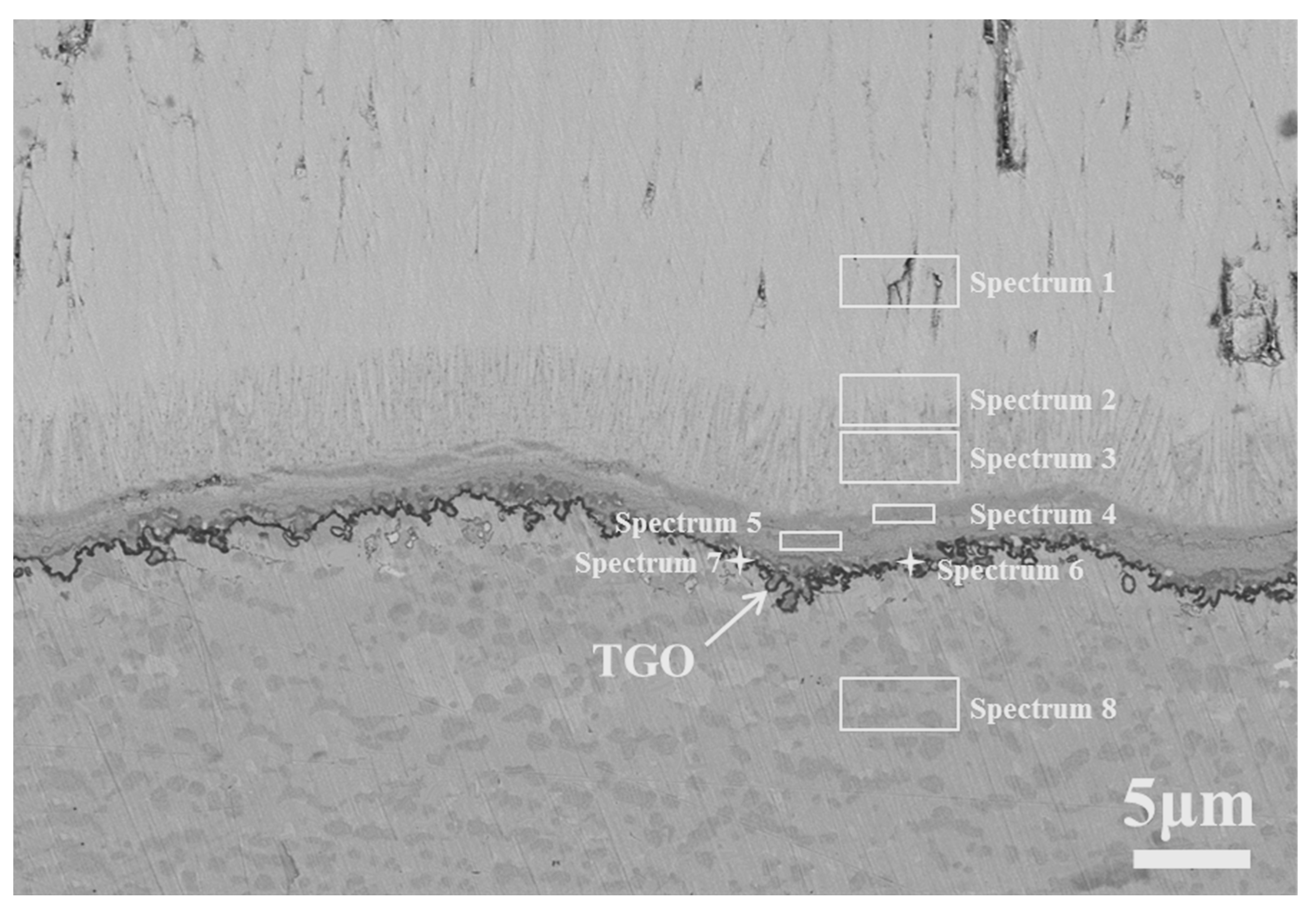 Coatings 13 02062 g008 Coatings 13 02062 g008