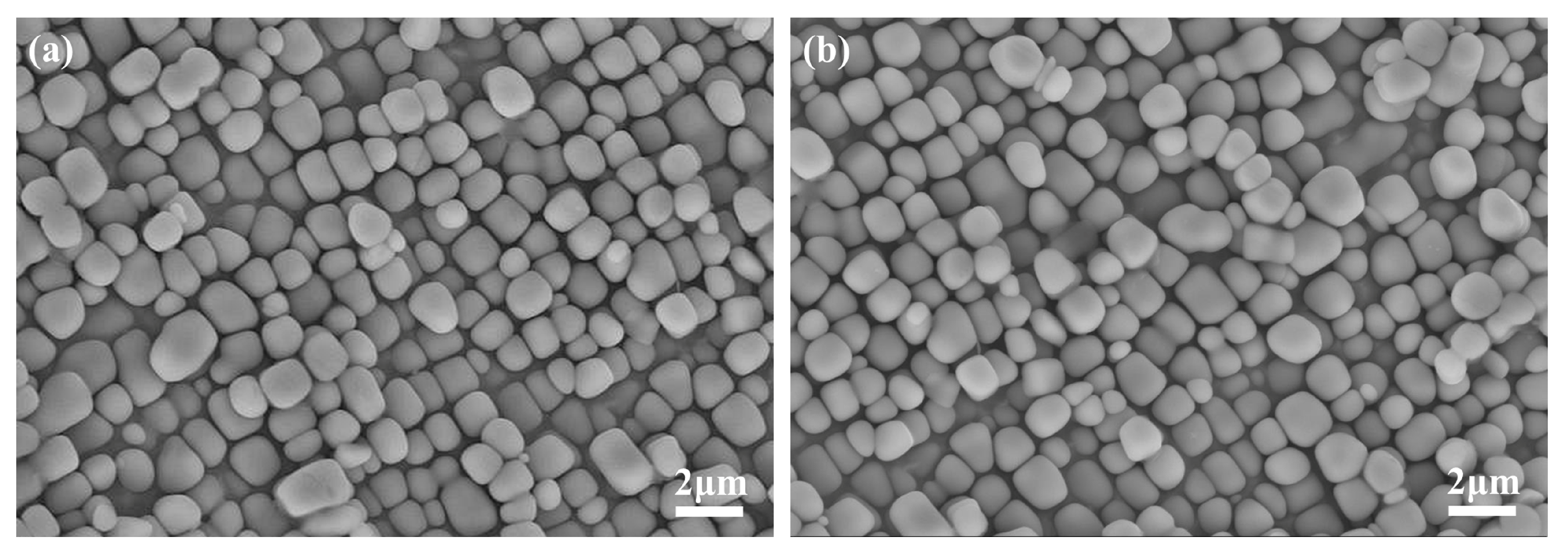 Coatings 13 02062 g009 Coatings 13 02062 g009