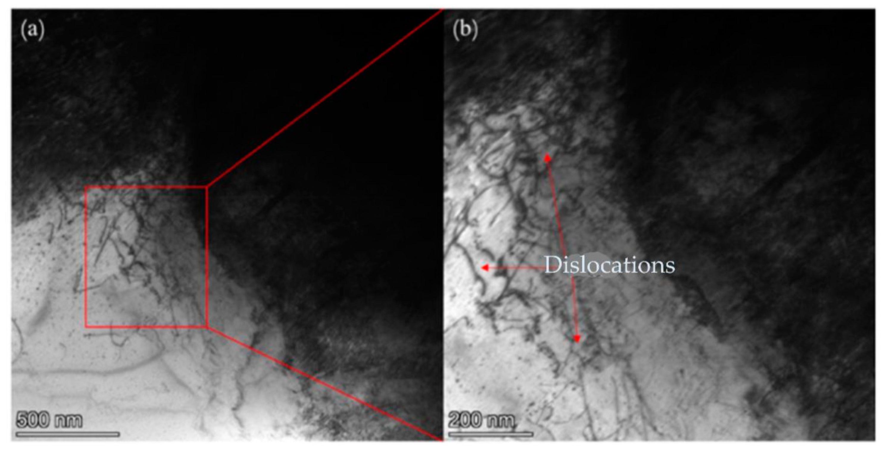 Coatings 13 02063 g007