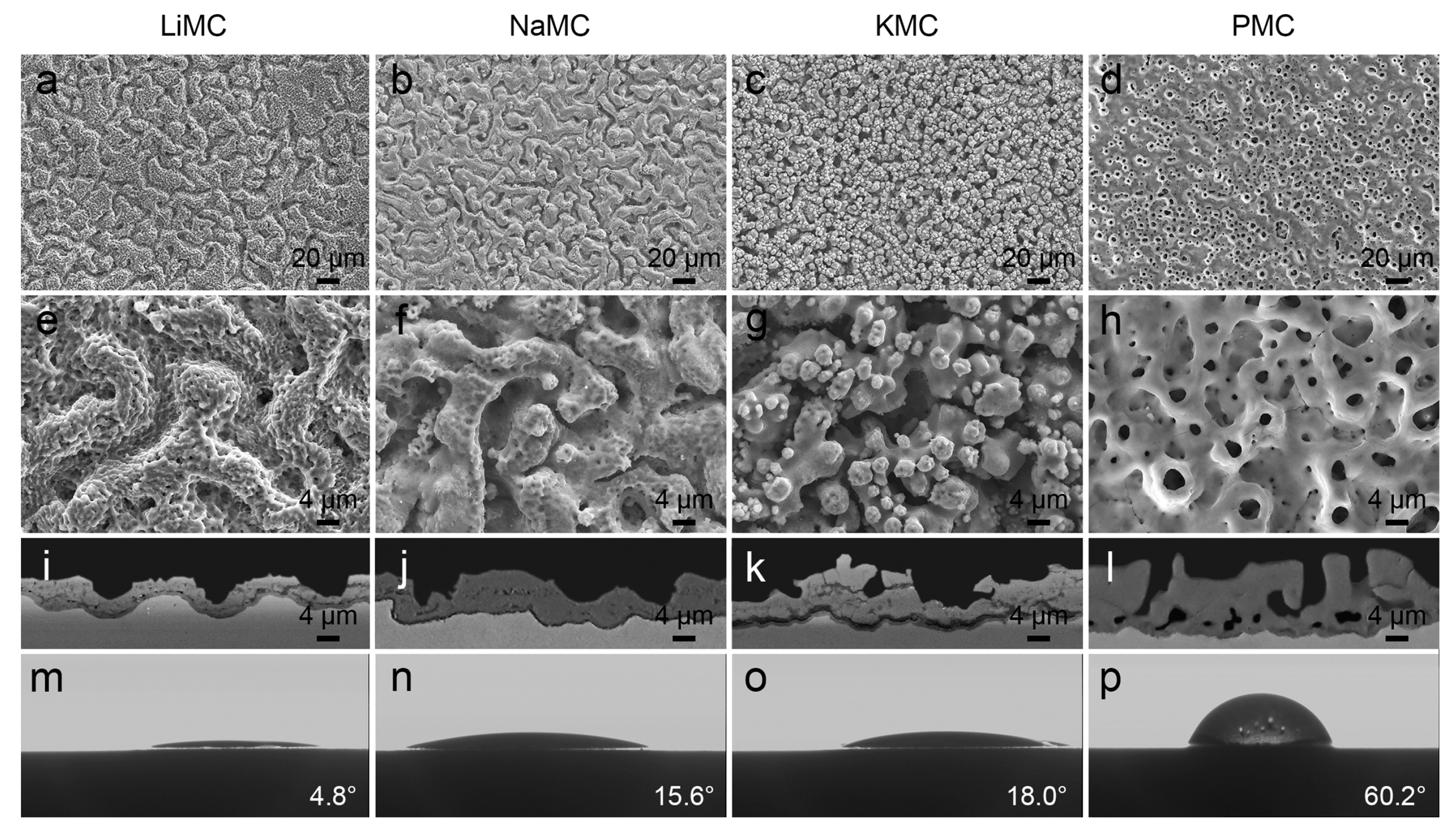 Coatings 13 02064 g003 Coatings 13 02064 g003