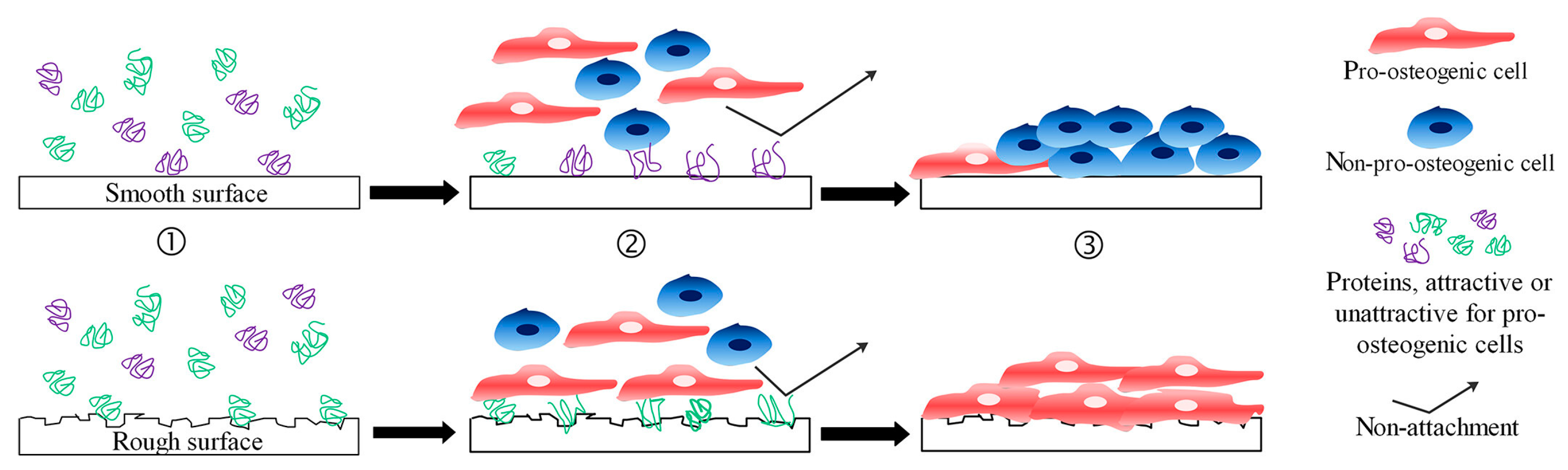 Coatings 13 02064 g005 Coatings 13 02064 g005