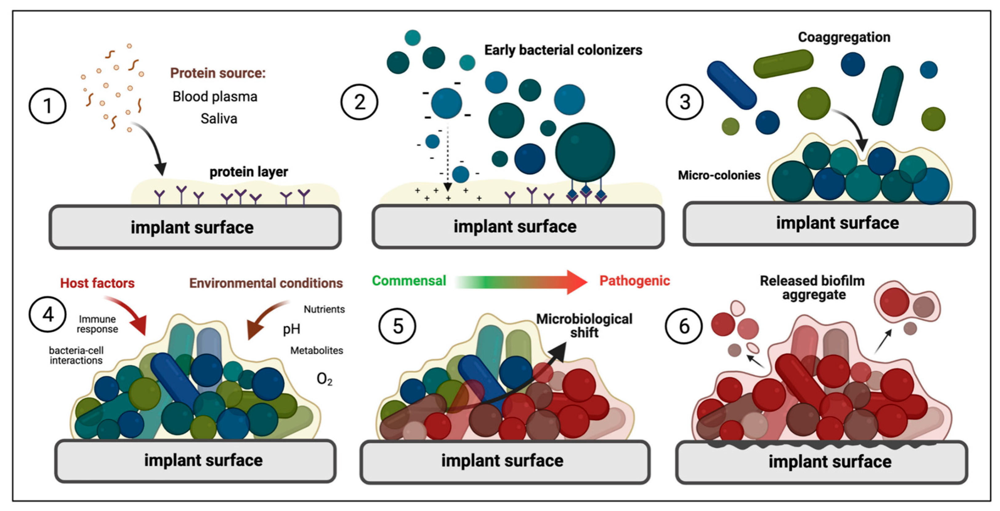 Coatings 13 02064 g006 Coatings 13 02064 g006