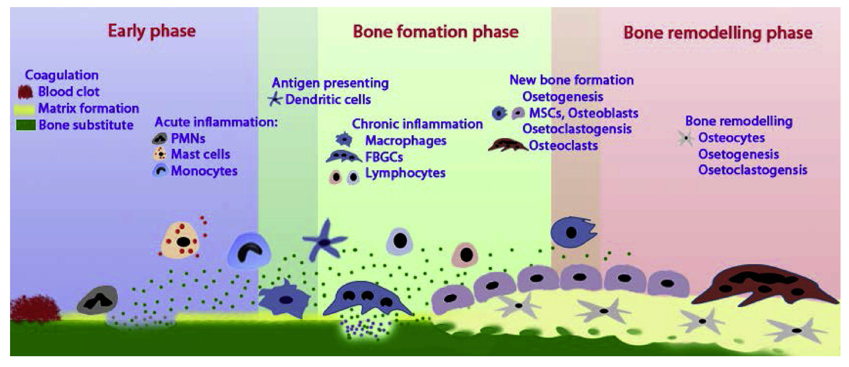 Coatings 13 02064 g008 Coatings 13 02064 g008