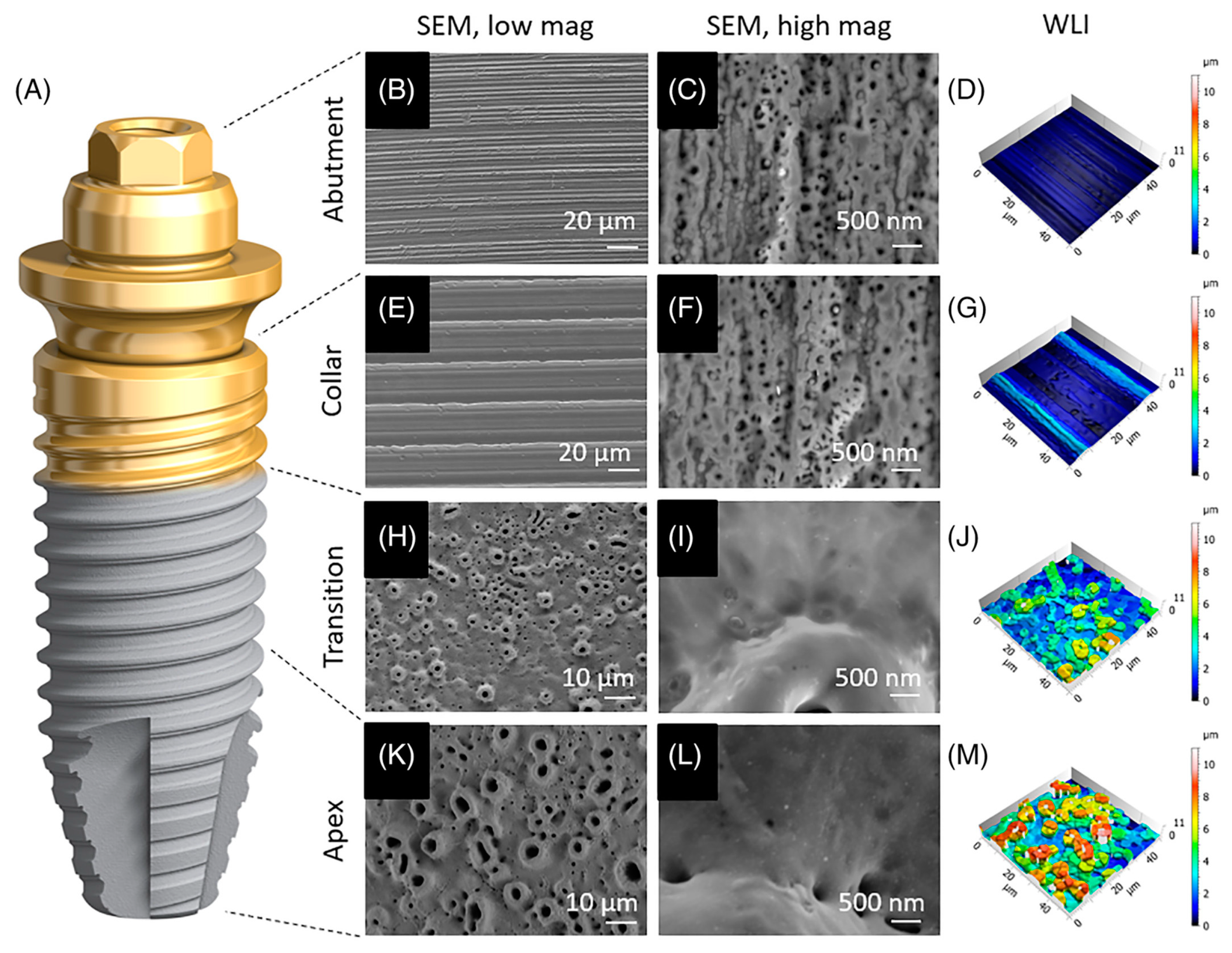 Coatings 13 02064 g009 Coatings 13 02064 g009