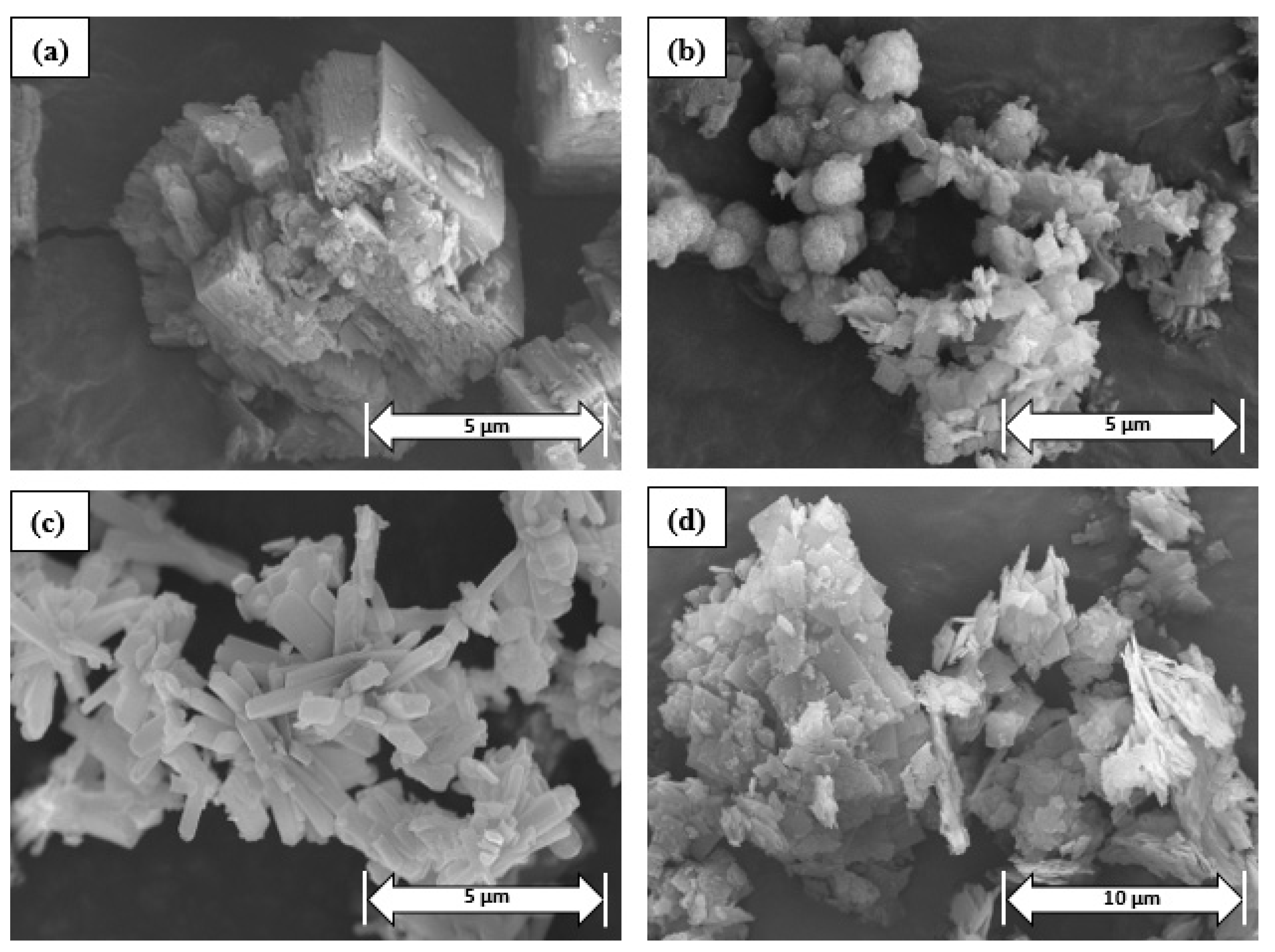 Coatings 13 02065 g003
