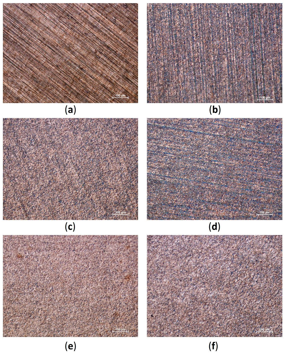 Coatings 13 02067 g001
