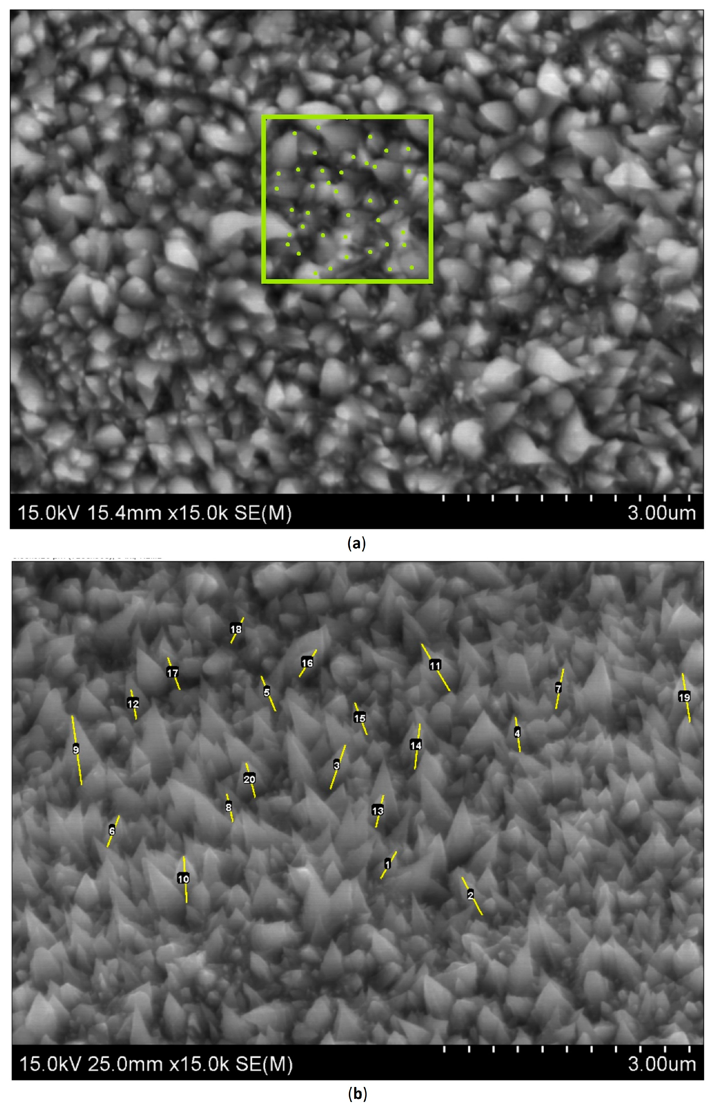 Coatings 13 02067 g006