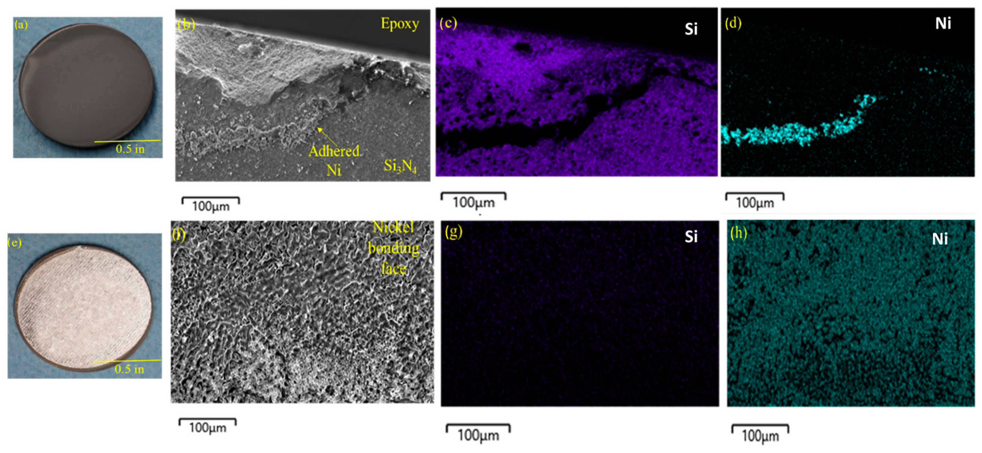 Coatings 13 02072 g002