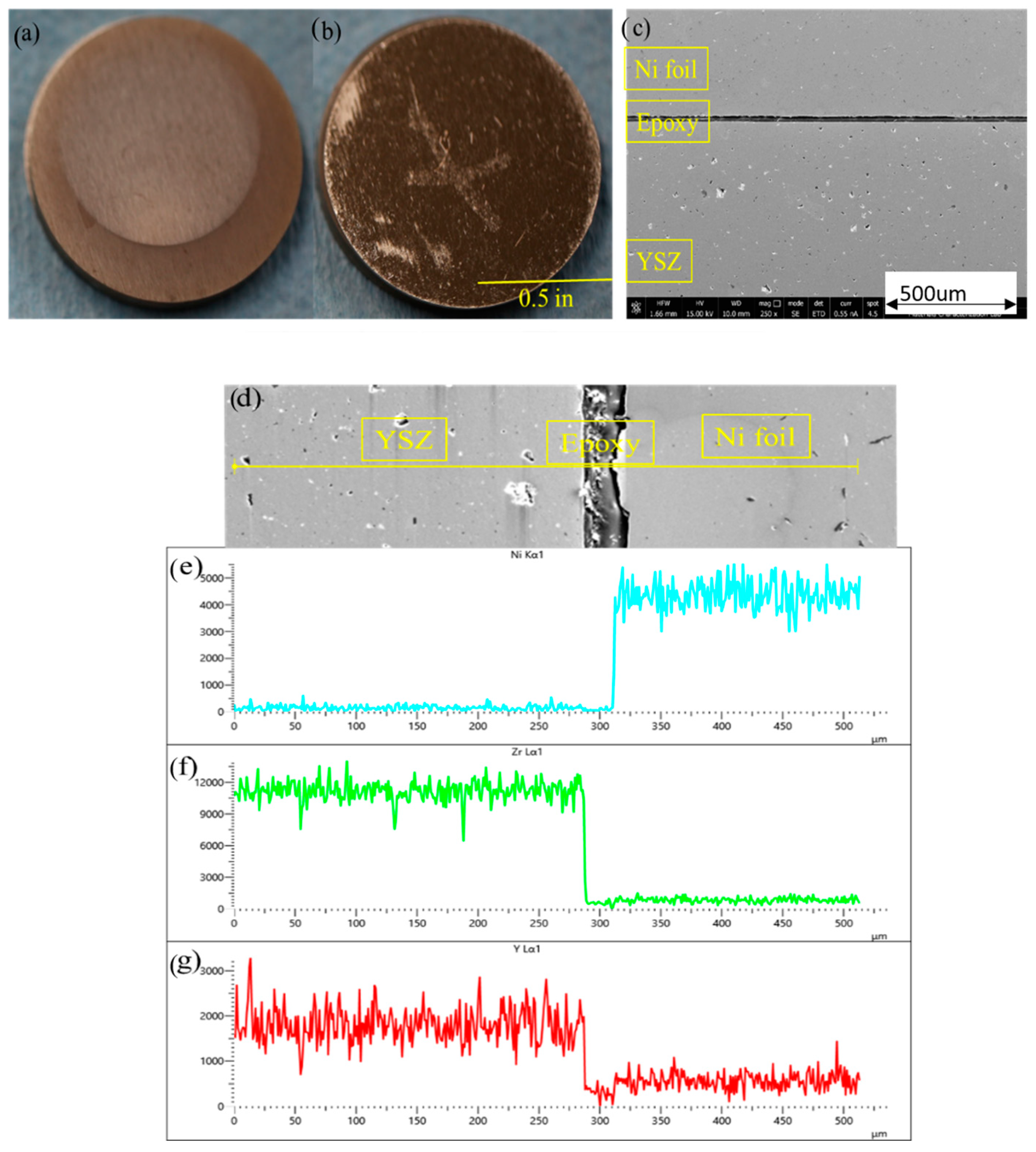 Coatings 13 02072 g005