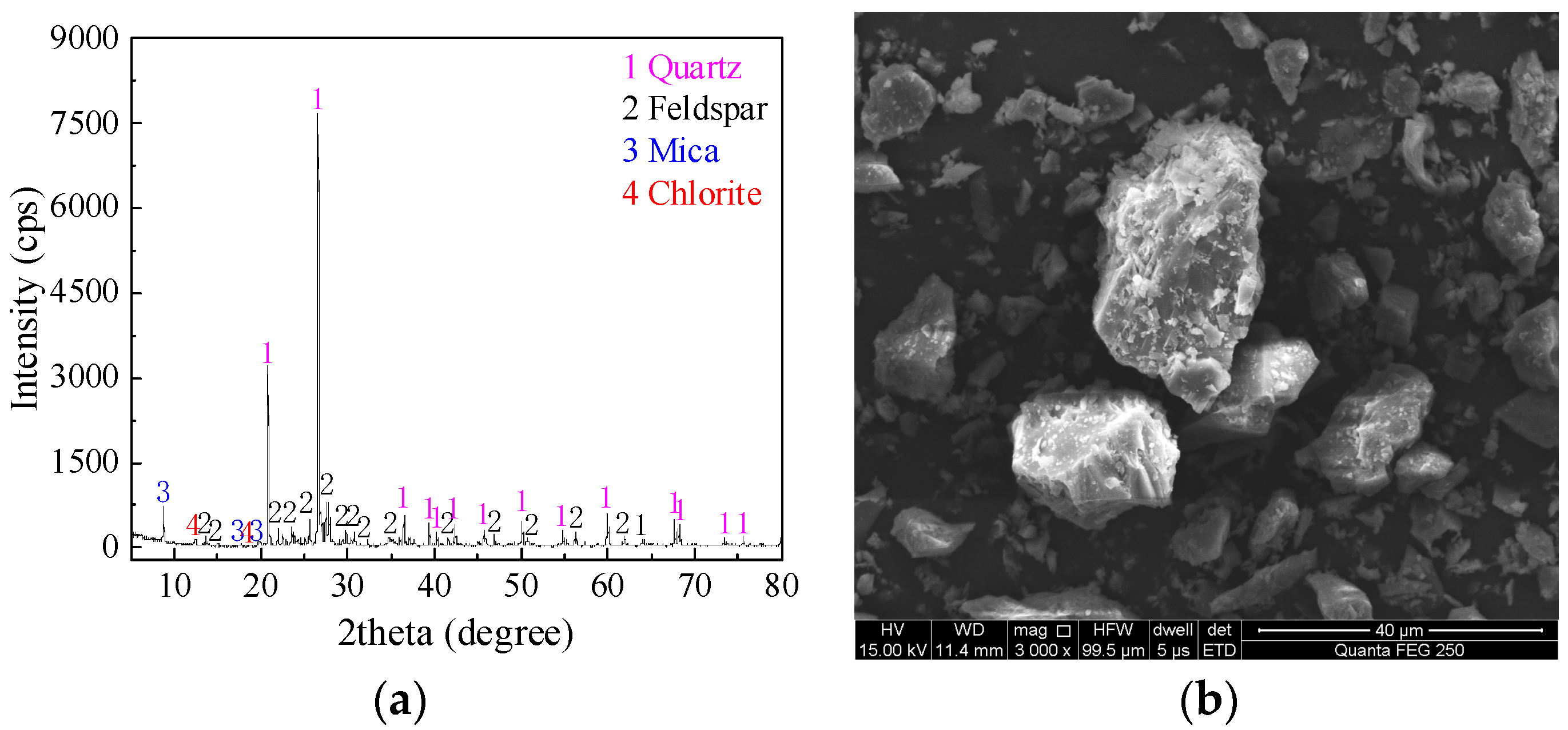 Coatings 13 02073 g003