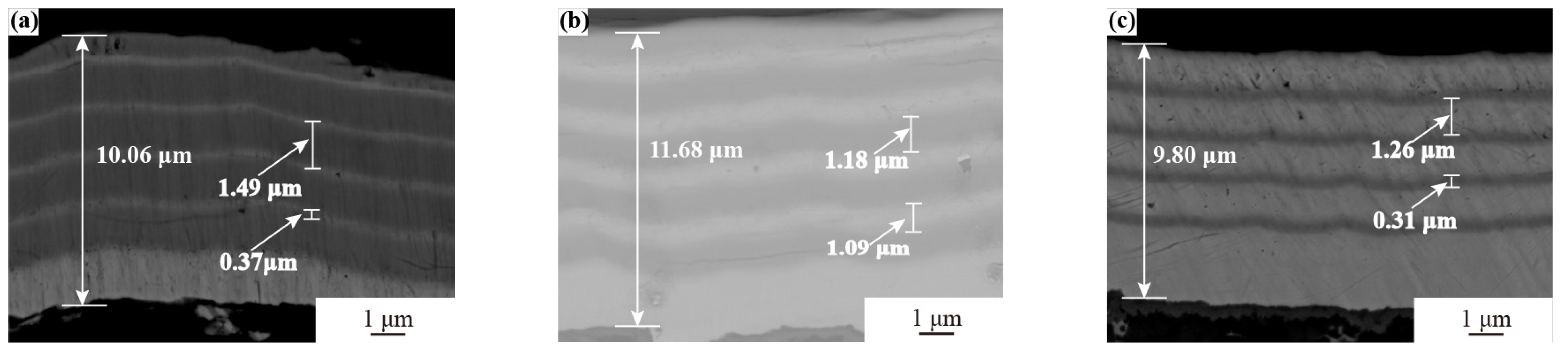 Coatings 13 02074 g003