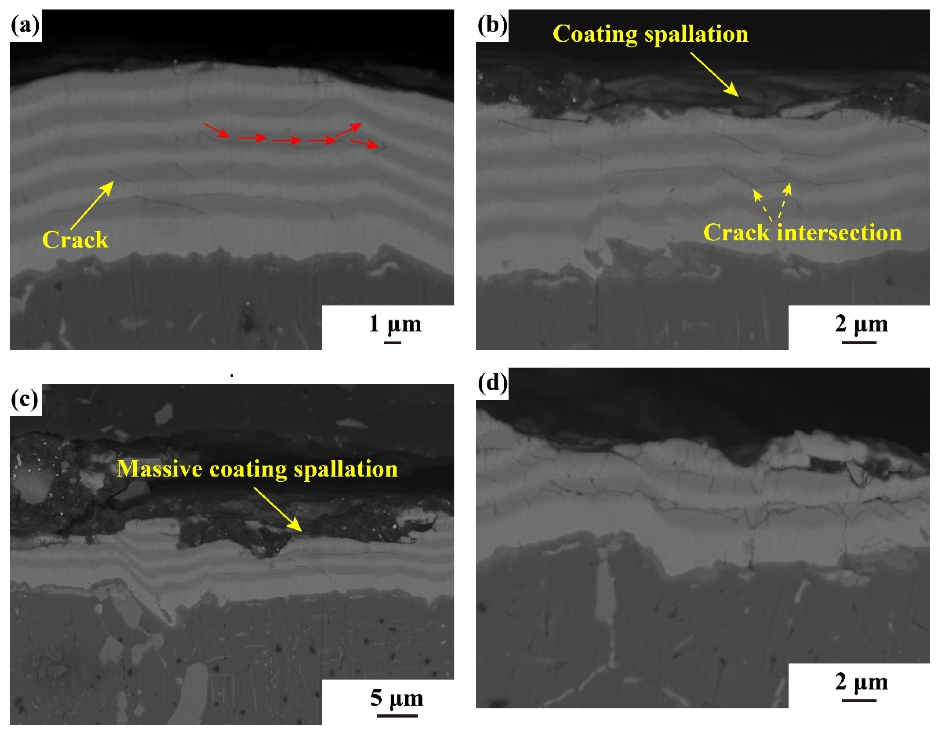 Coatings 13 02074 g013