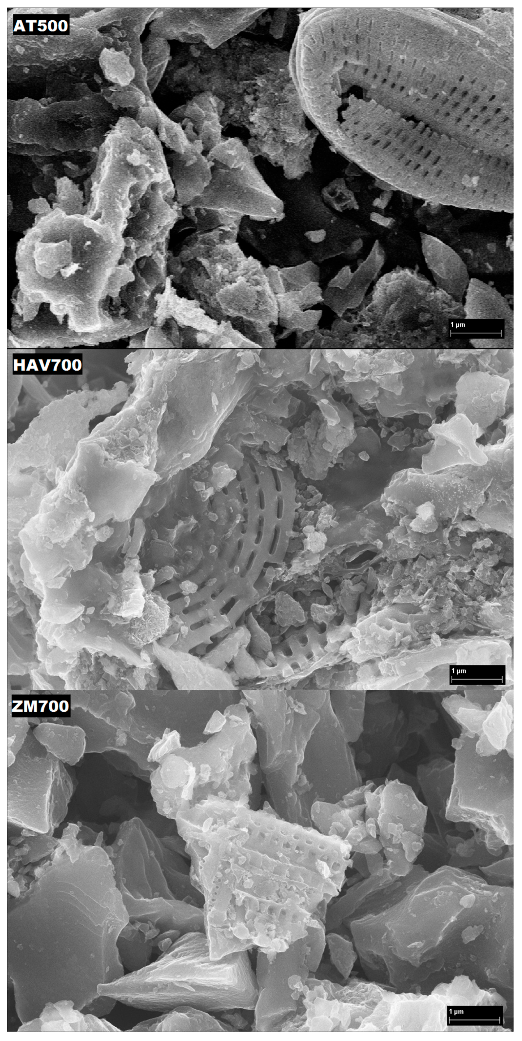 Coatings 13 02075 g002