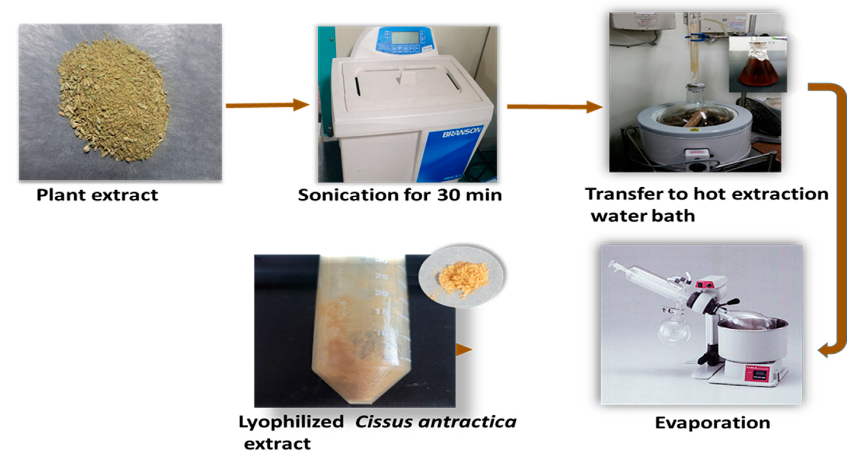Coatings 13 02077 g001 Coatings 13 02077 g001