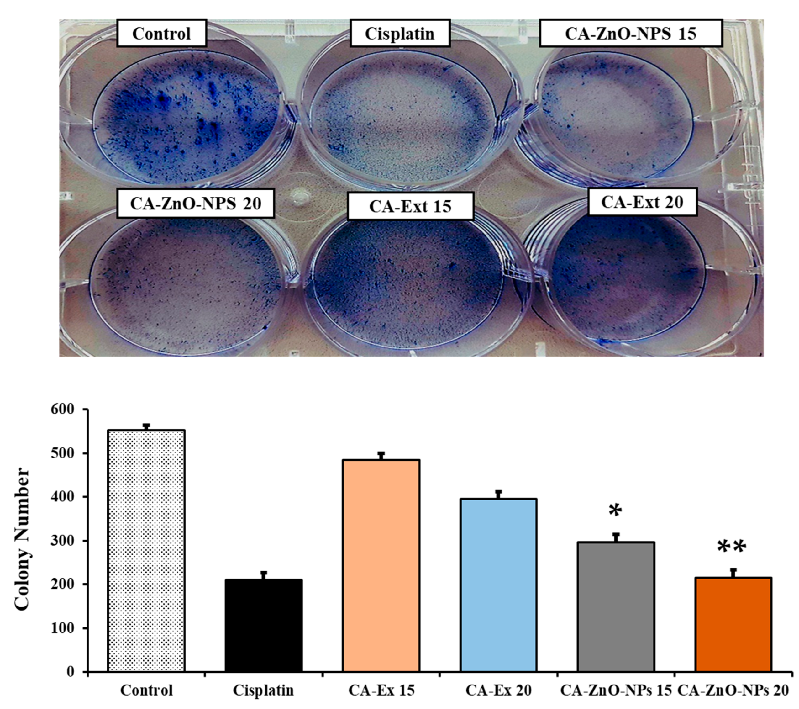 Coatings 13 02077 g009 Coatings 13 02077 g009
