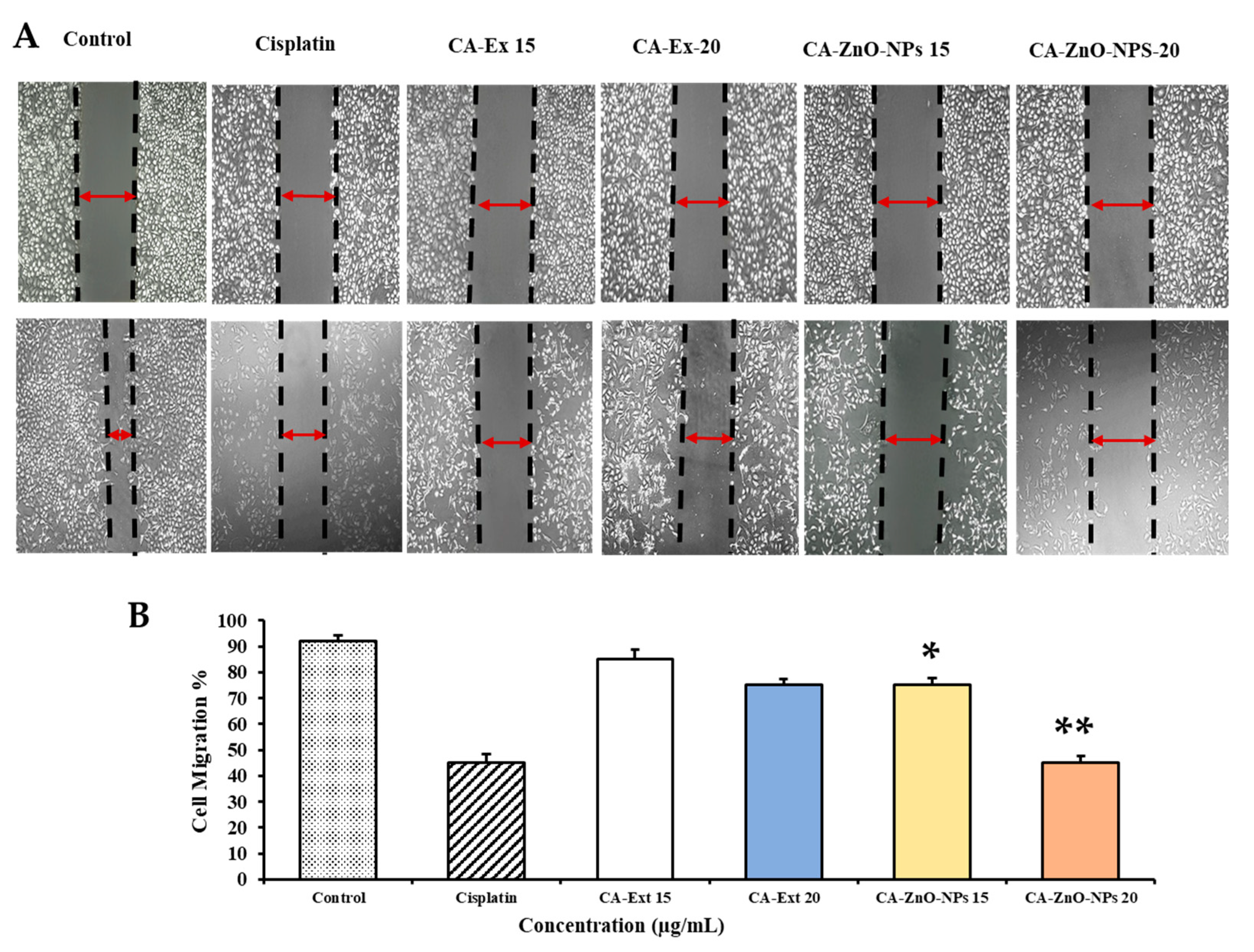 Coatings 13 02077 g010 Coatings 13 02077 g010