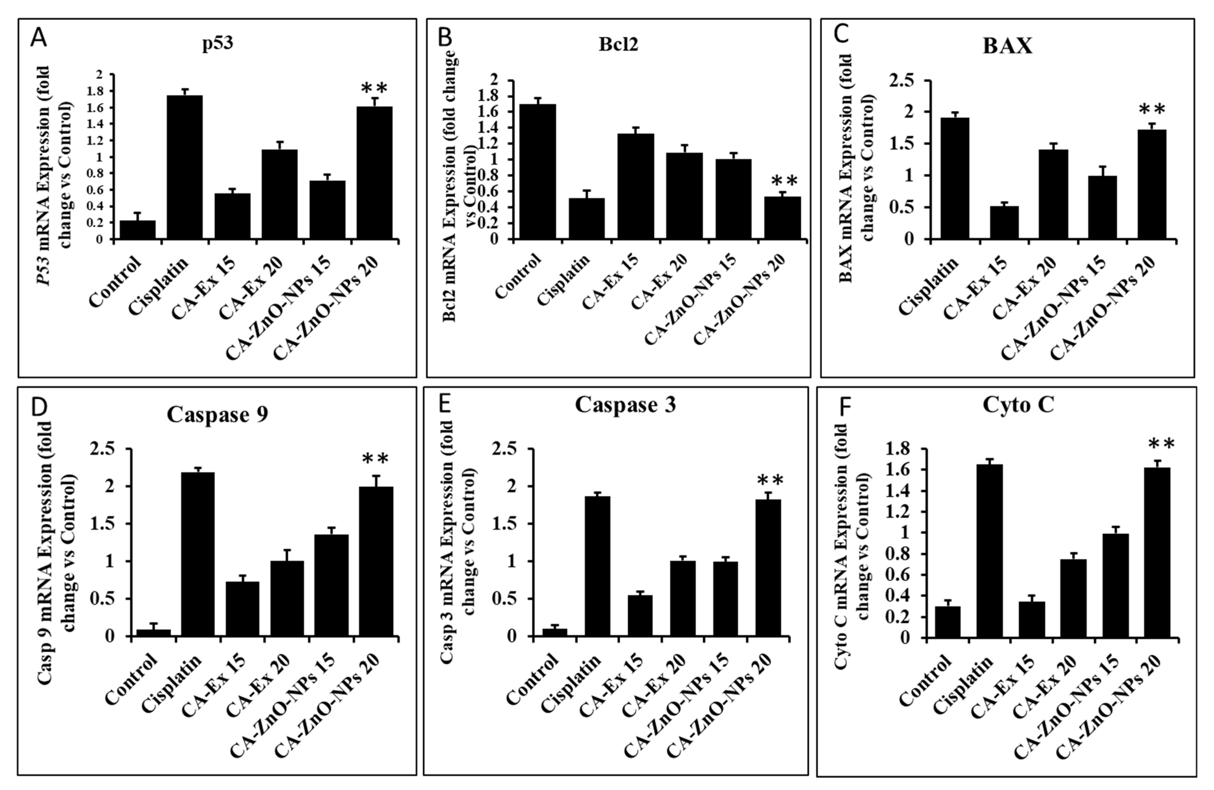 Coatings 13 02077 g012 Coatings 13 02077 g012