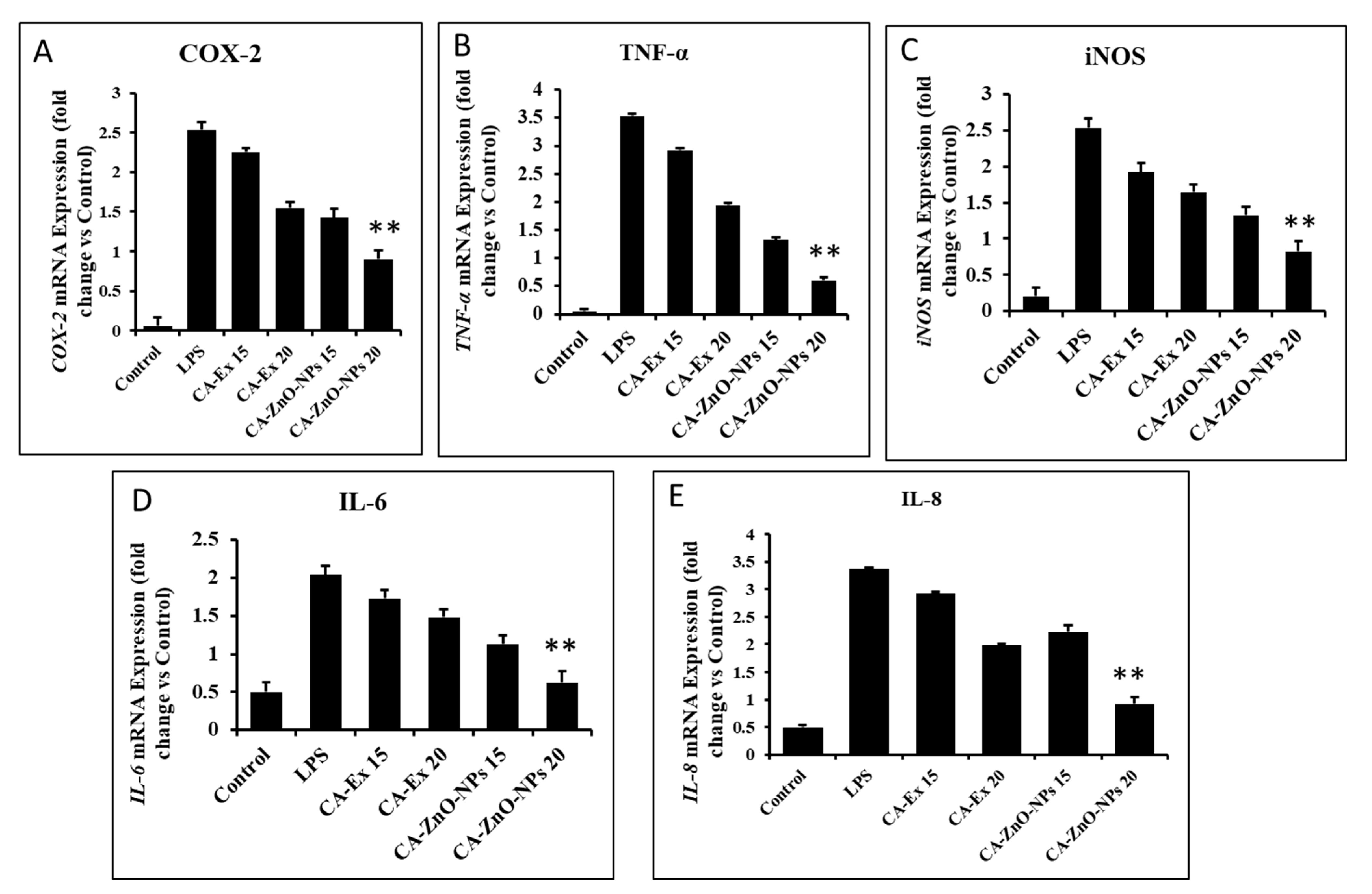 Coatings 13 02077 g014 Coatings 13 02077 g014