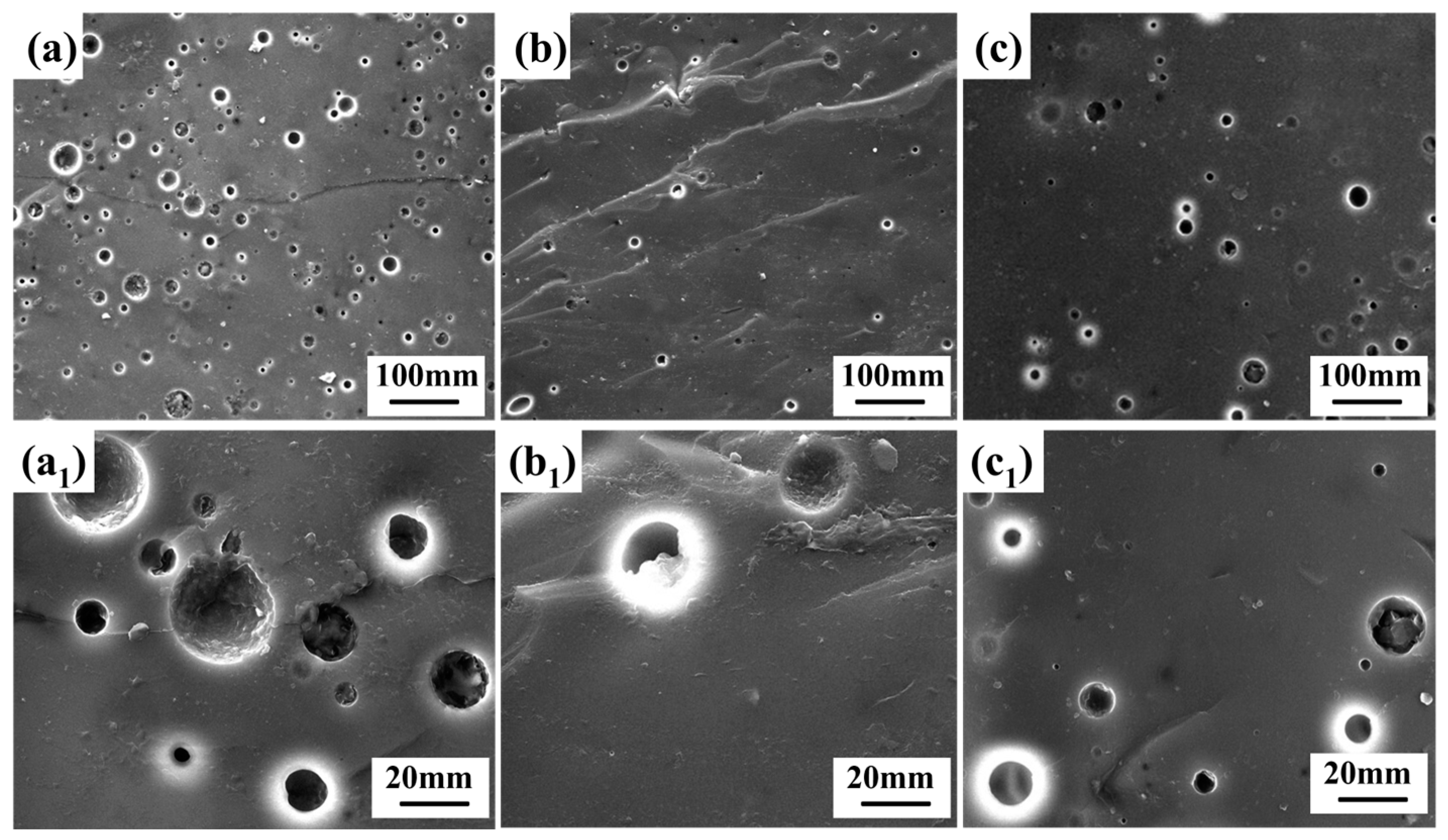 Coatings 13 02079 g012